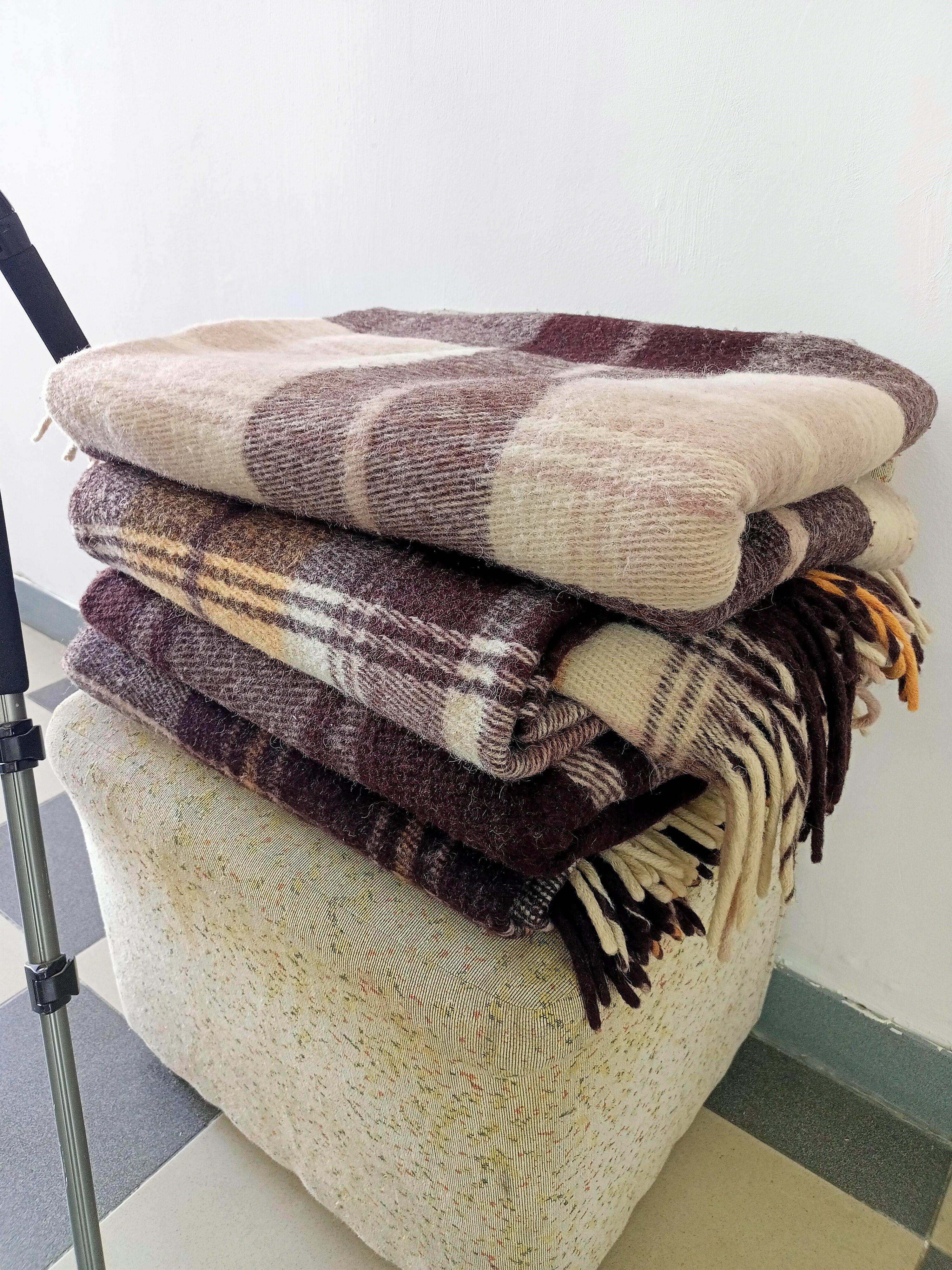 Фото Лагуна