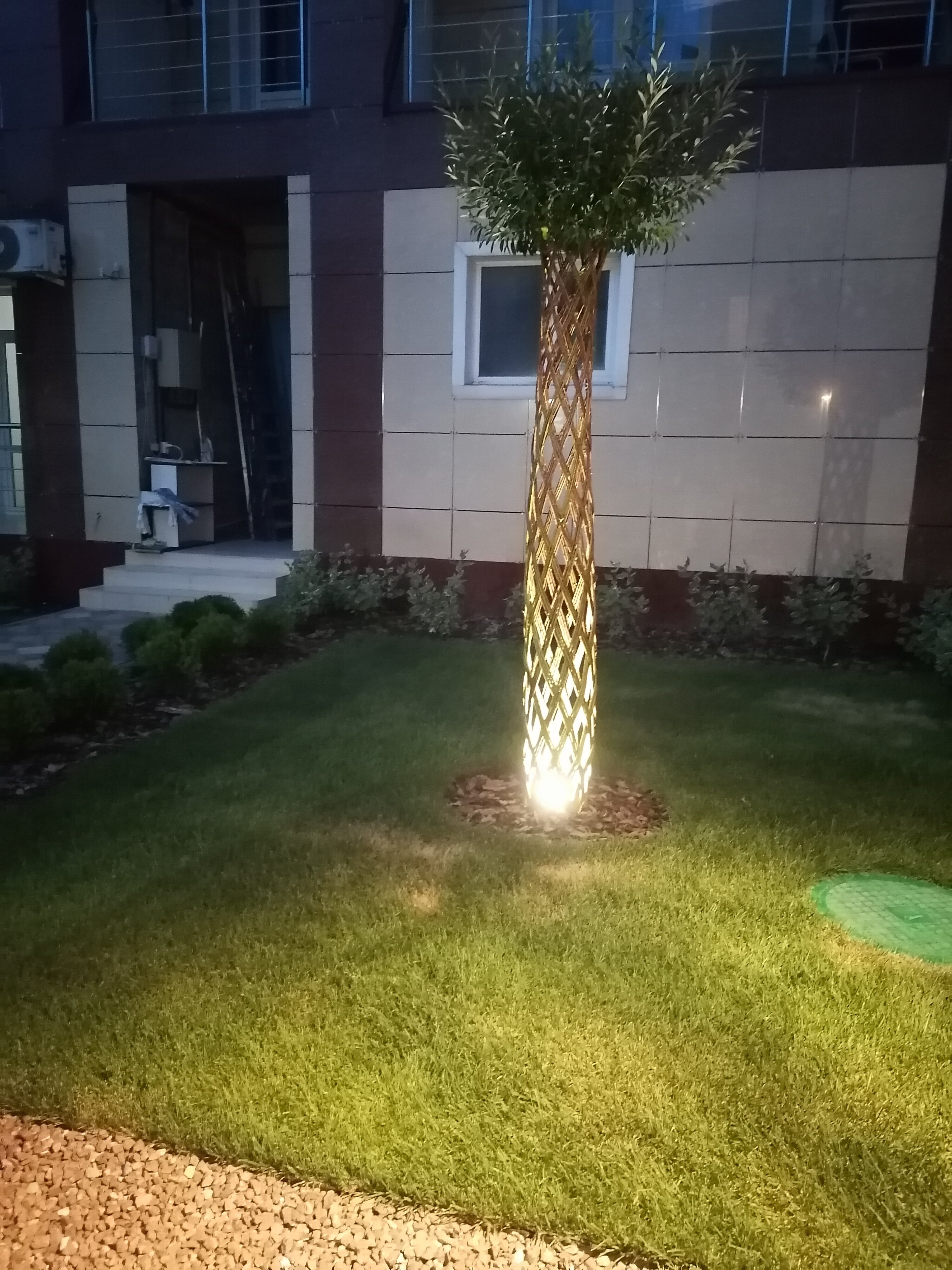 Фото Южная ночь