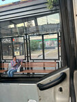Гастроном (Stavropol Territory, Kislovodsk, prospekt Mira), public transport stop