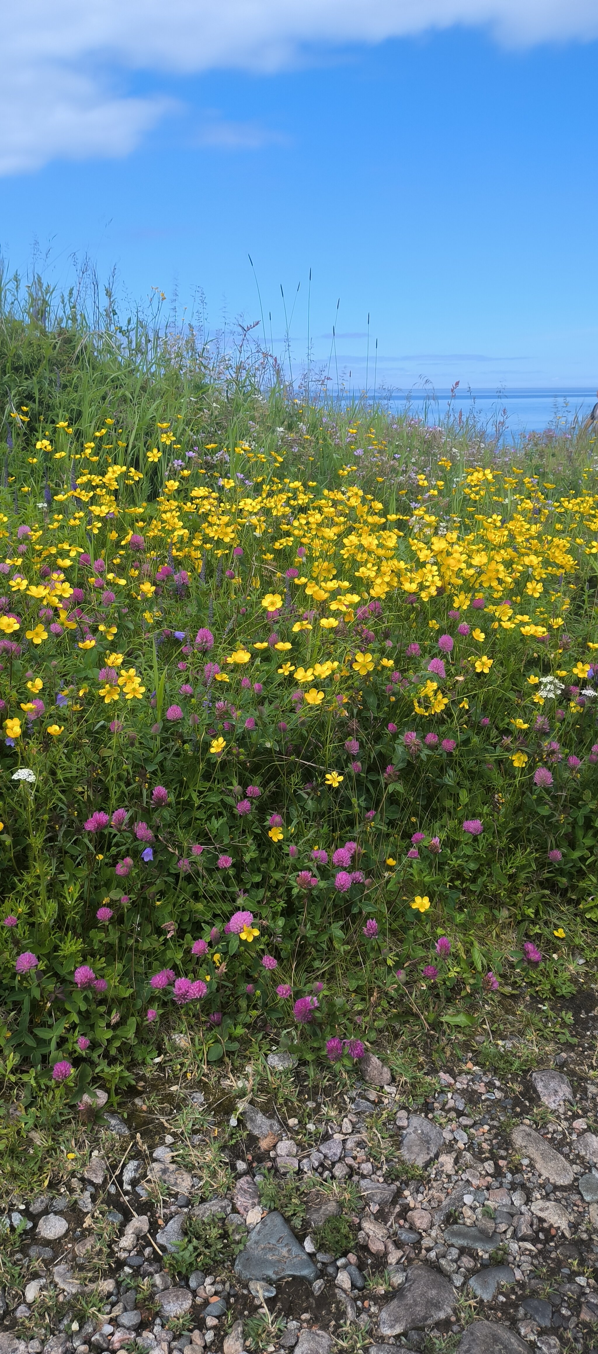 Фото Соловки