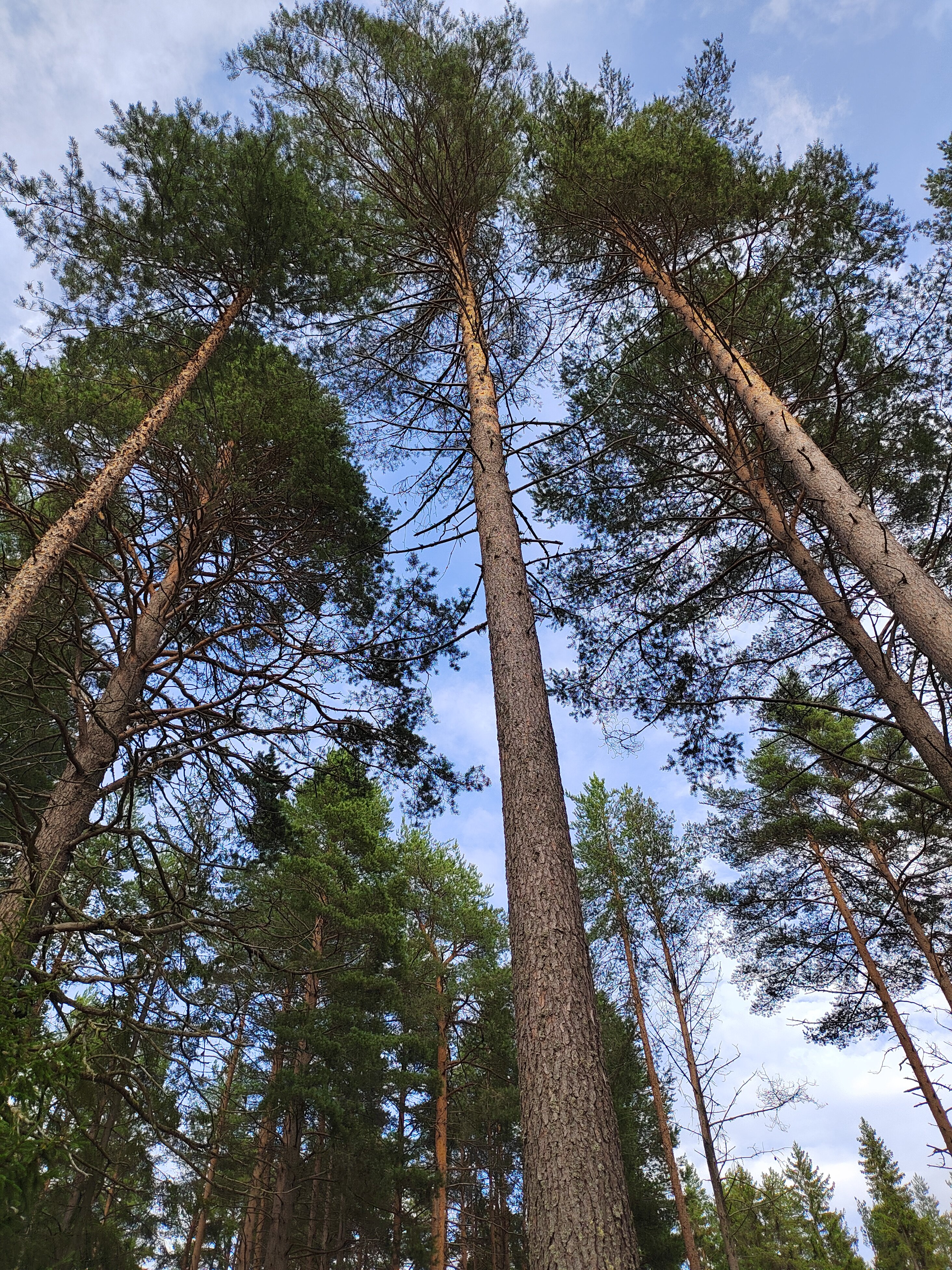 Фото Медвежья Ривьера
