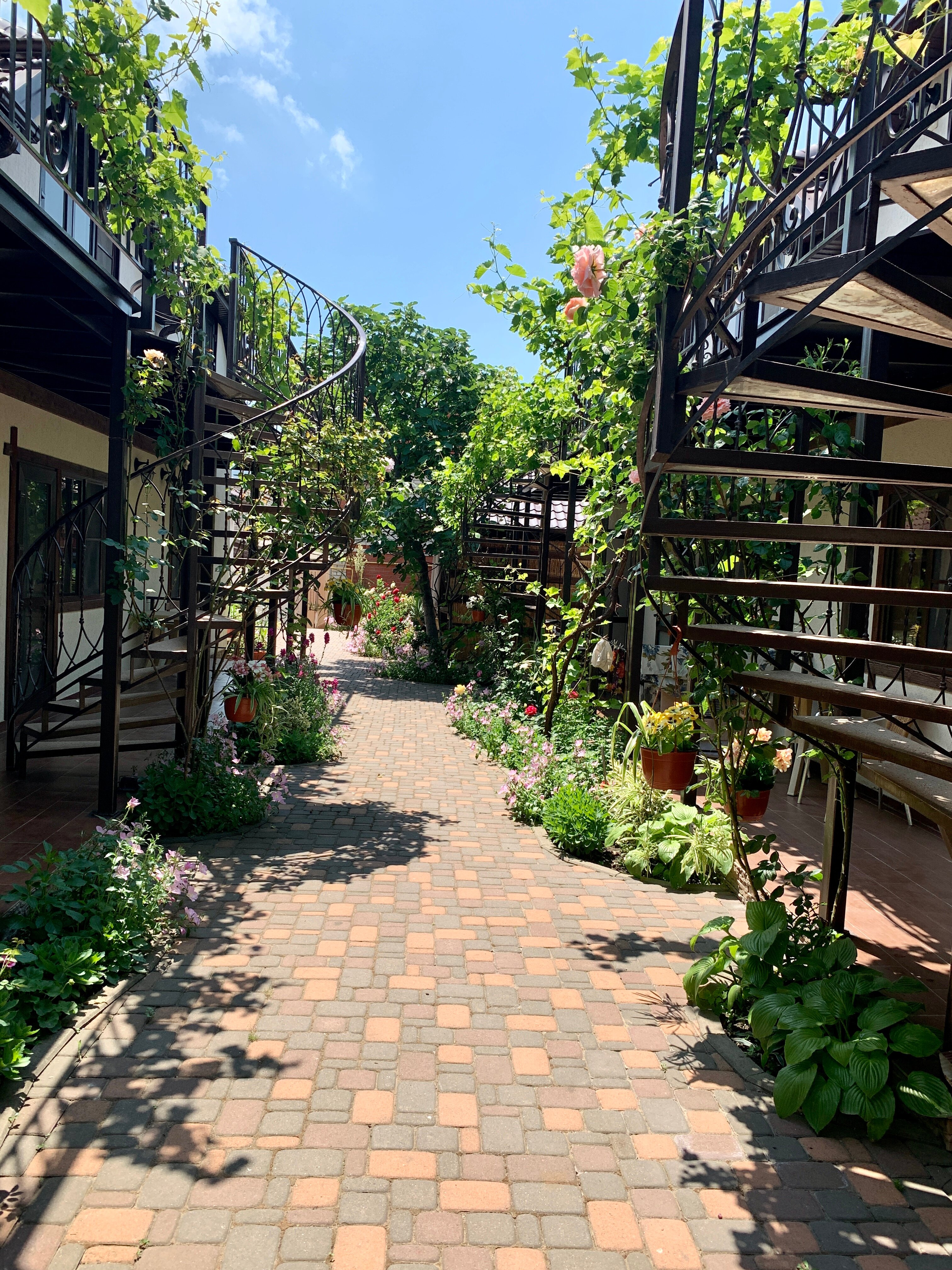 Фото Садорини