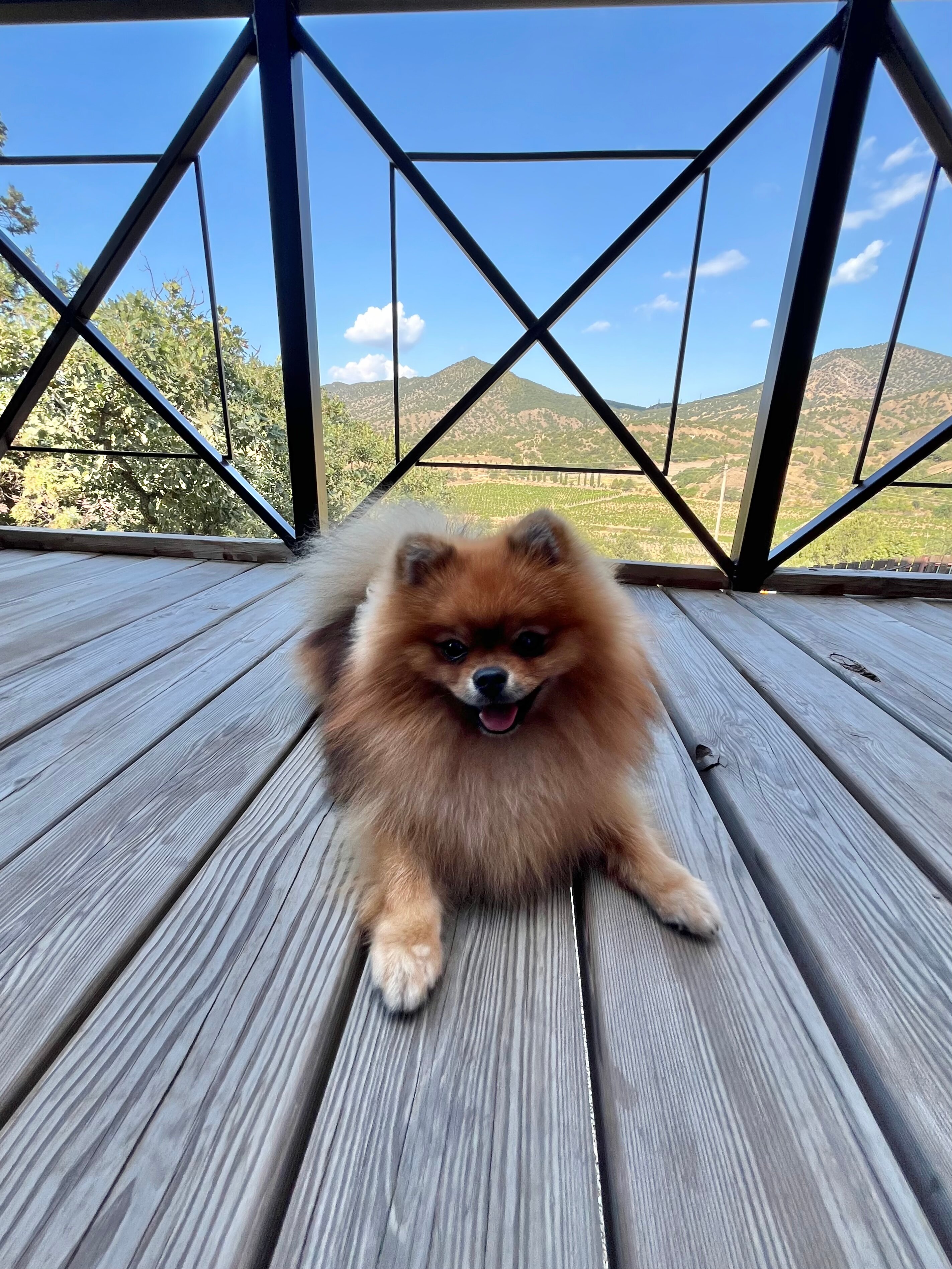 Фото Вилла Каталея