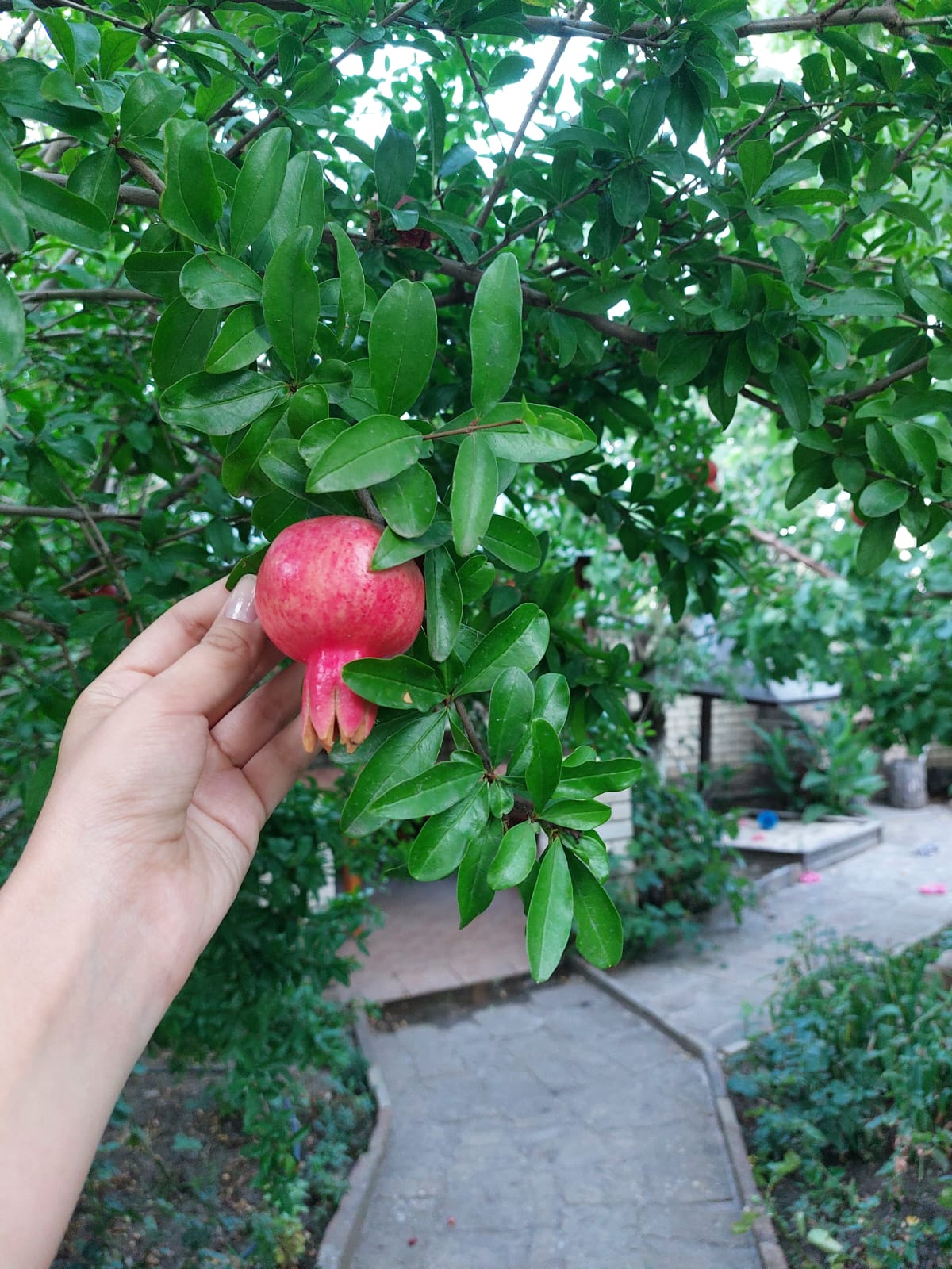 Фото Солнечная Долина
