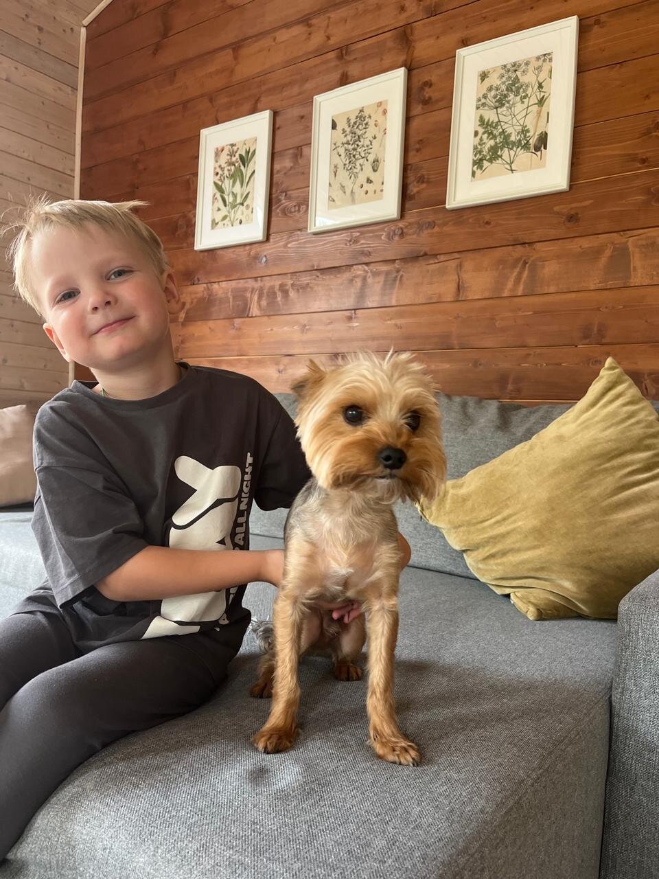 Фото Шале Пески большое