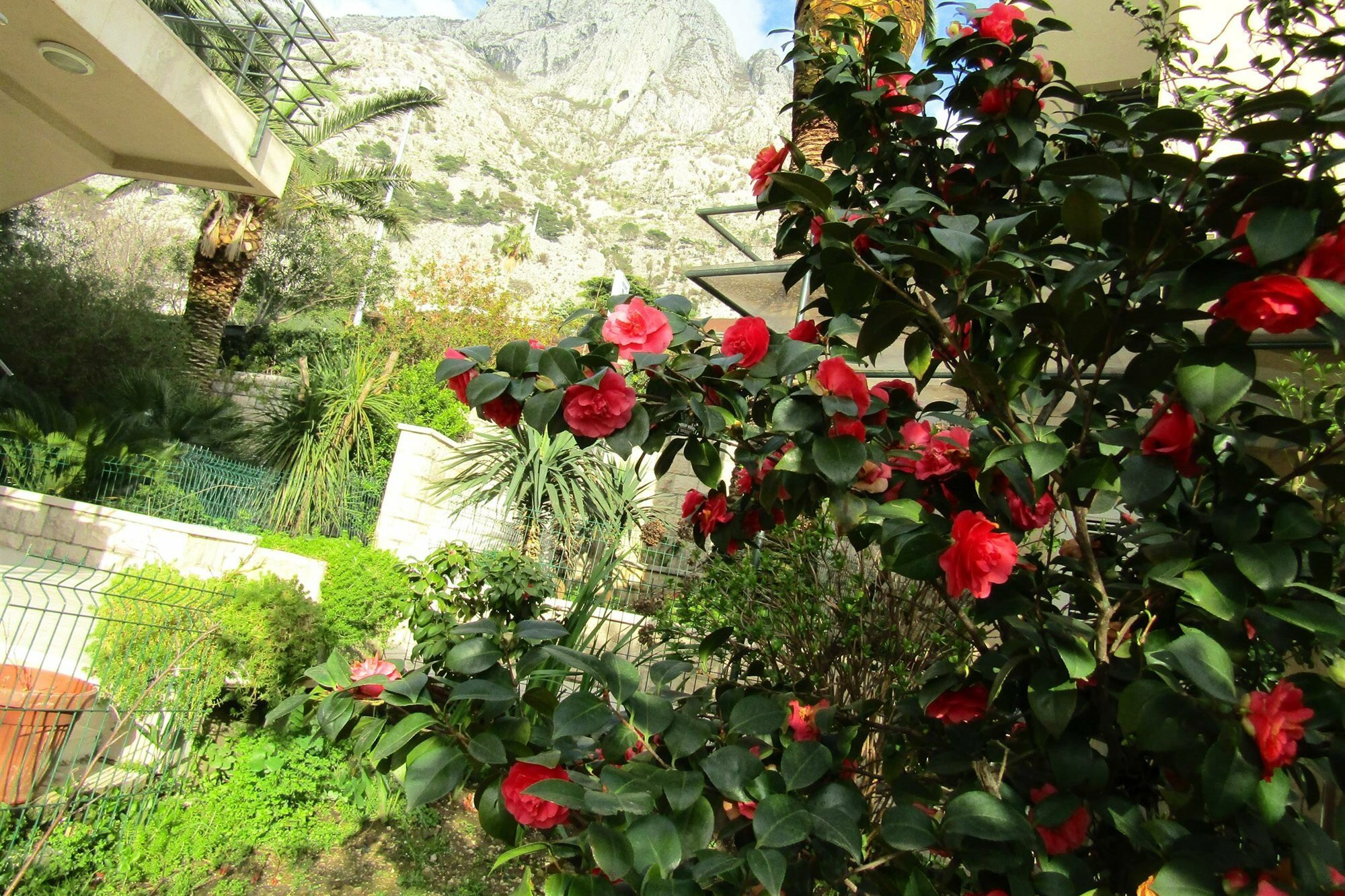 Фото Palma Apartments