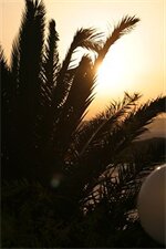 Фото Villa Irini