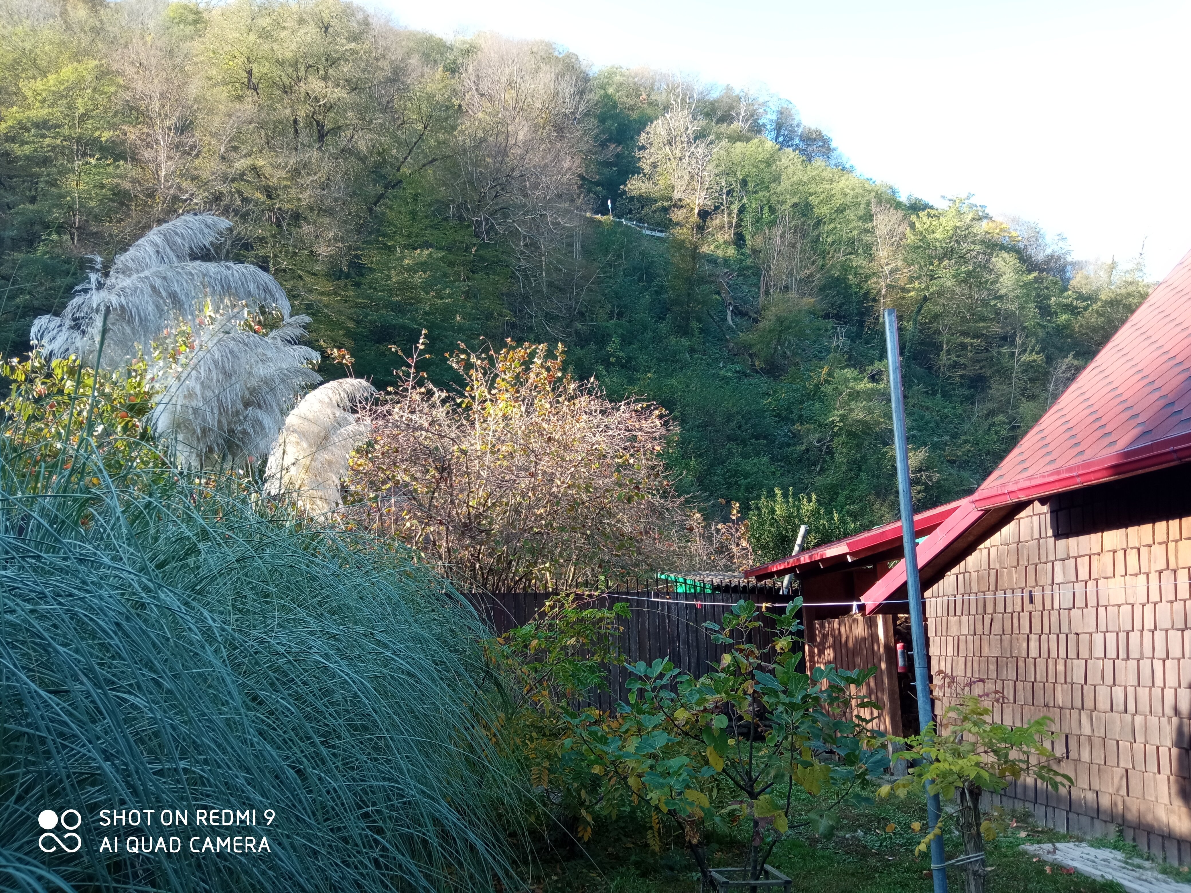 Фото Дача в райском месте