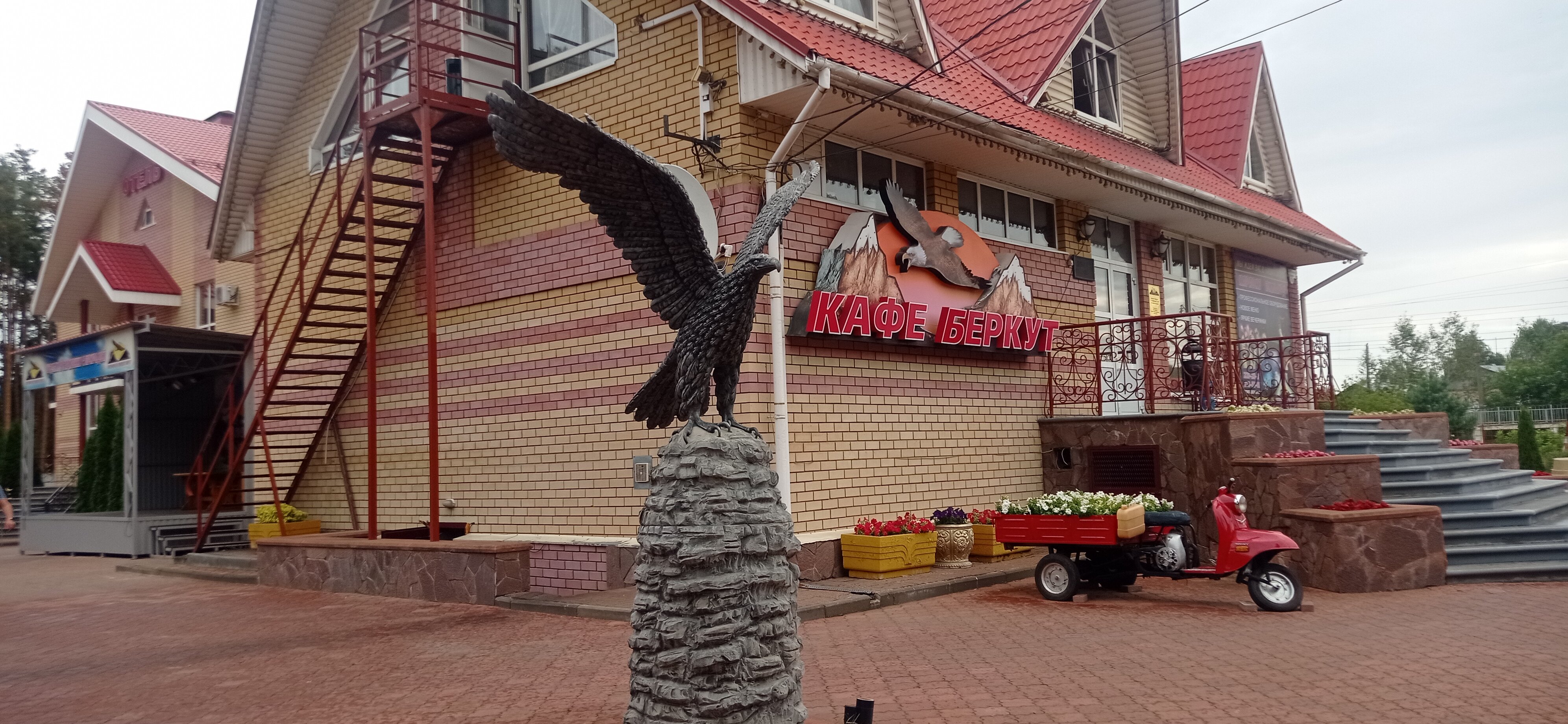 Фото Беркут