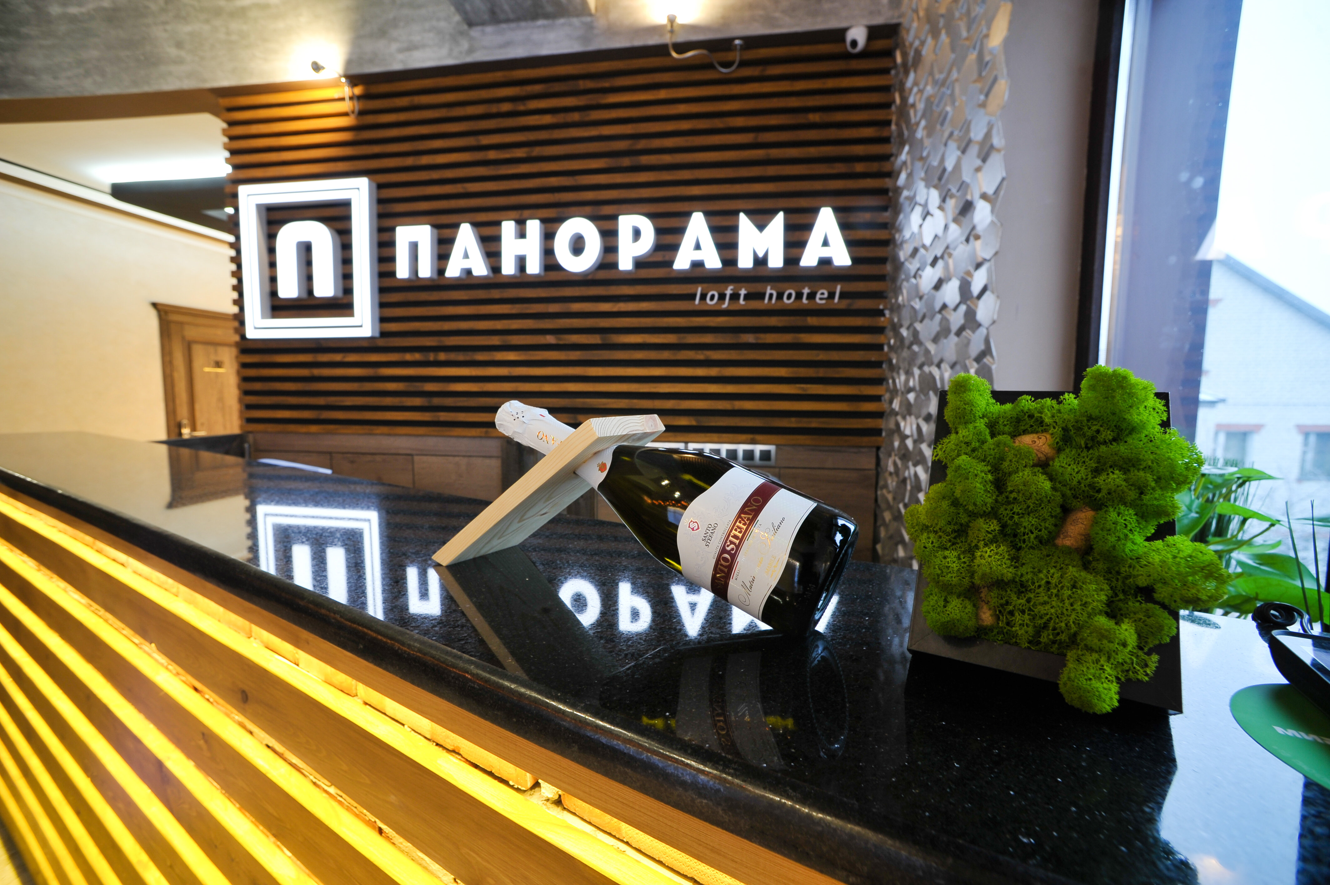 Фото Панорама loft hotel