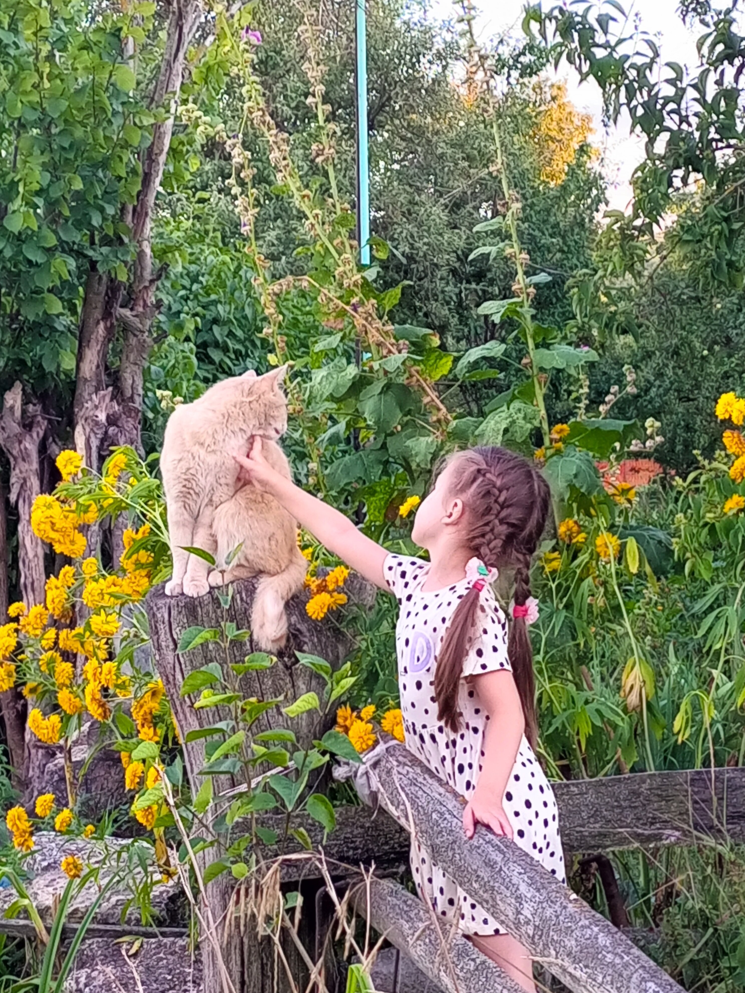 Фото Дом Хвостова