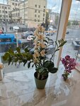 Салон красоты (Khoroshyovskoye Highway, 88с1) ، صالون تجميل