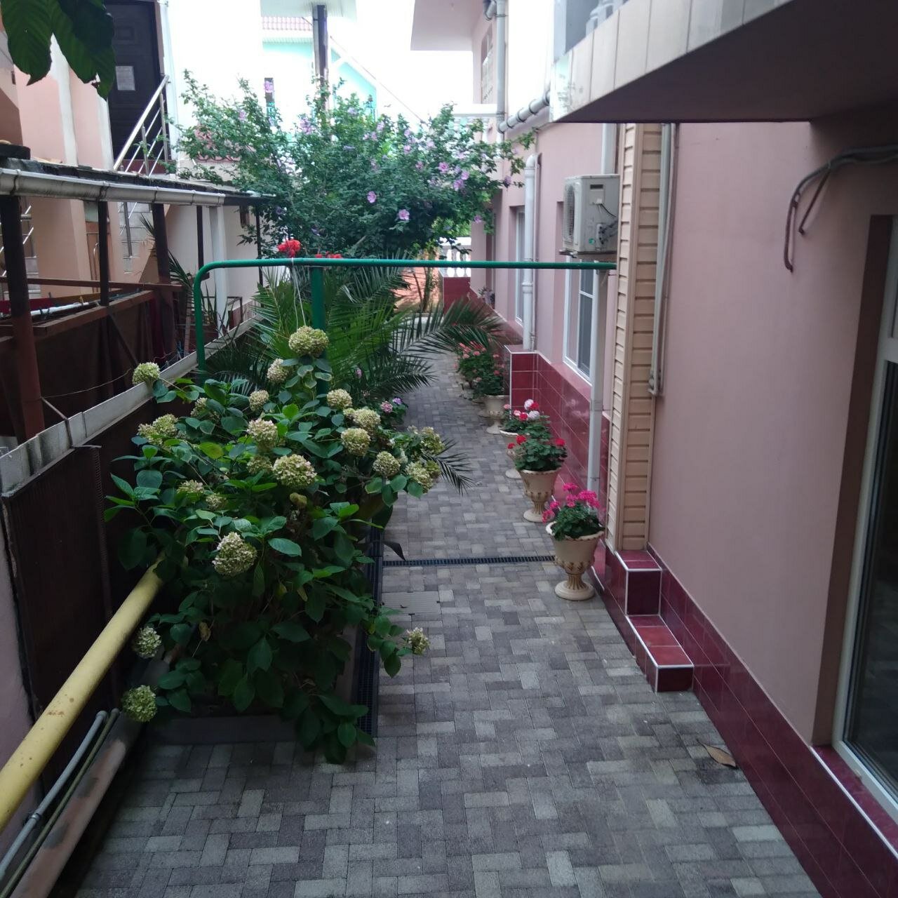 Фото Арарат