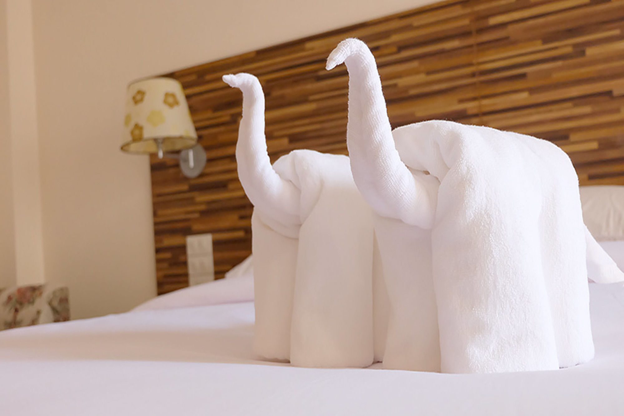 Фото D Hotel Pattaya