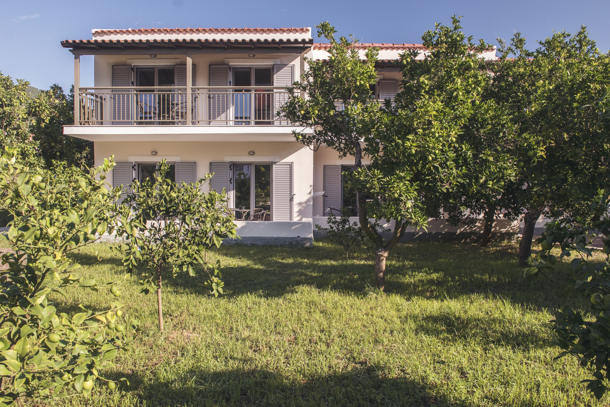 Фото Orange Grove Villas