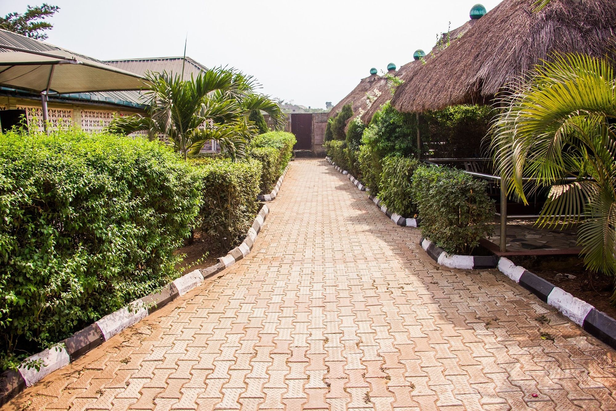 Фото Exclusive Relaxation Place & Bar