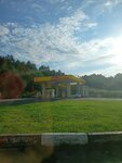 АЗС (Biysk, ulitsa Arkadiya Gaydara, 81), gas station