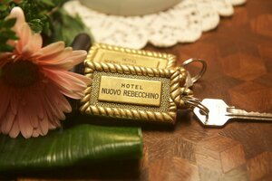 Гостиница Hotel Nuovo Rebecchino 