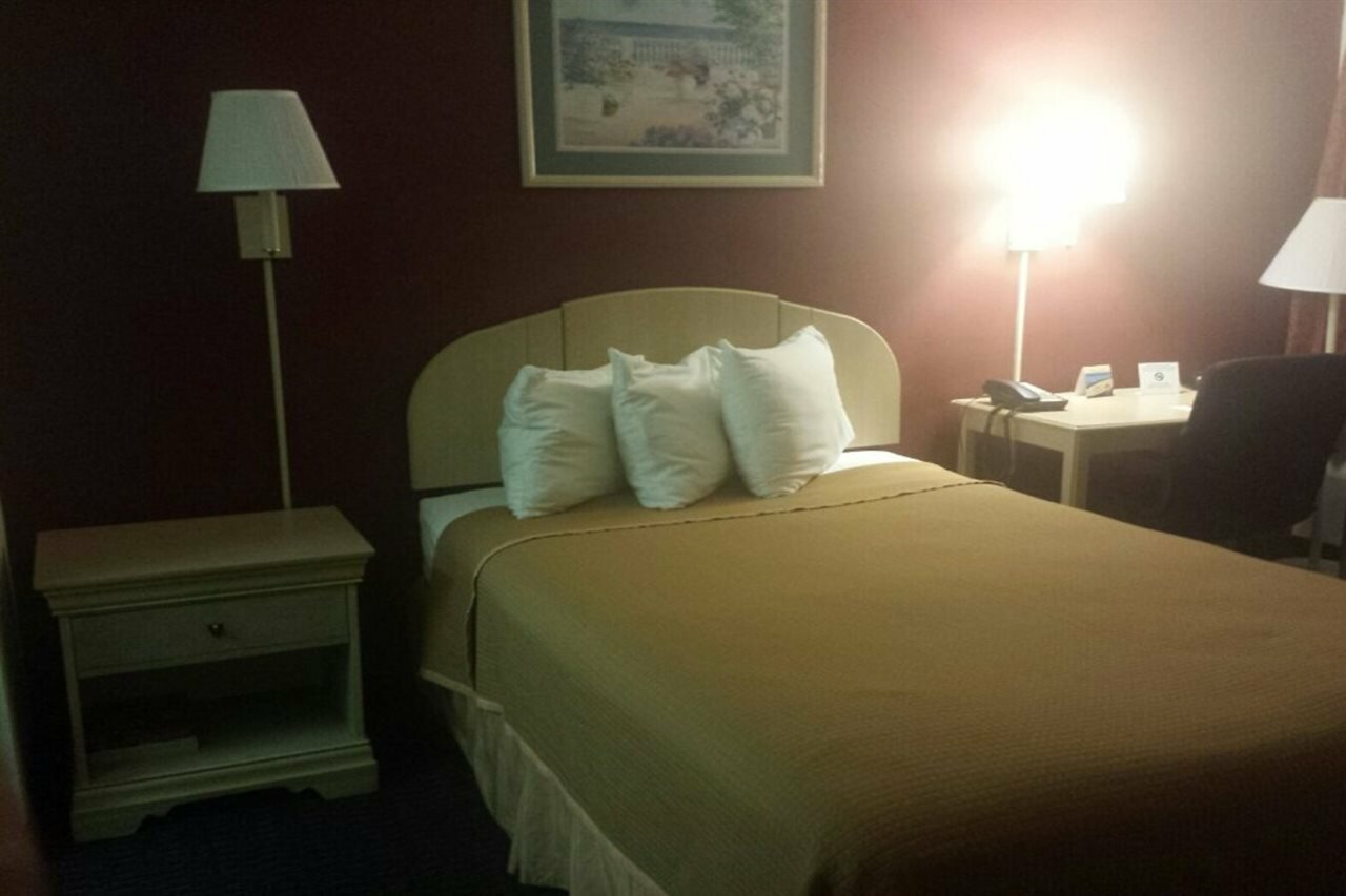 Фото Hotel South Tampa & Suites
