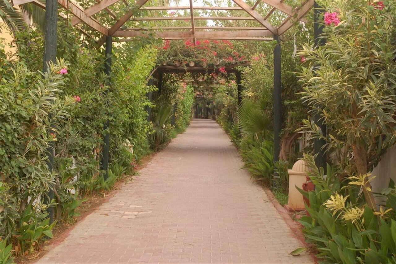 Фото Hotel Nesrine