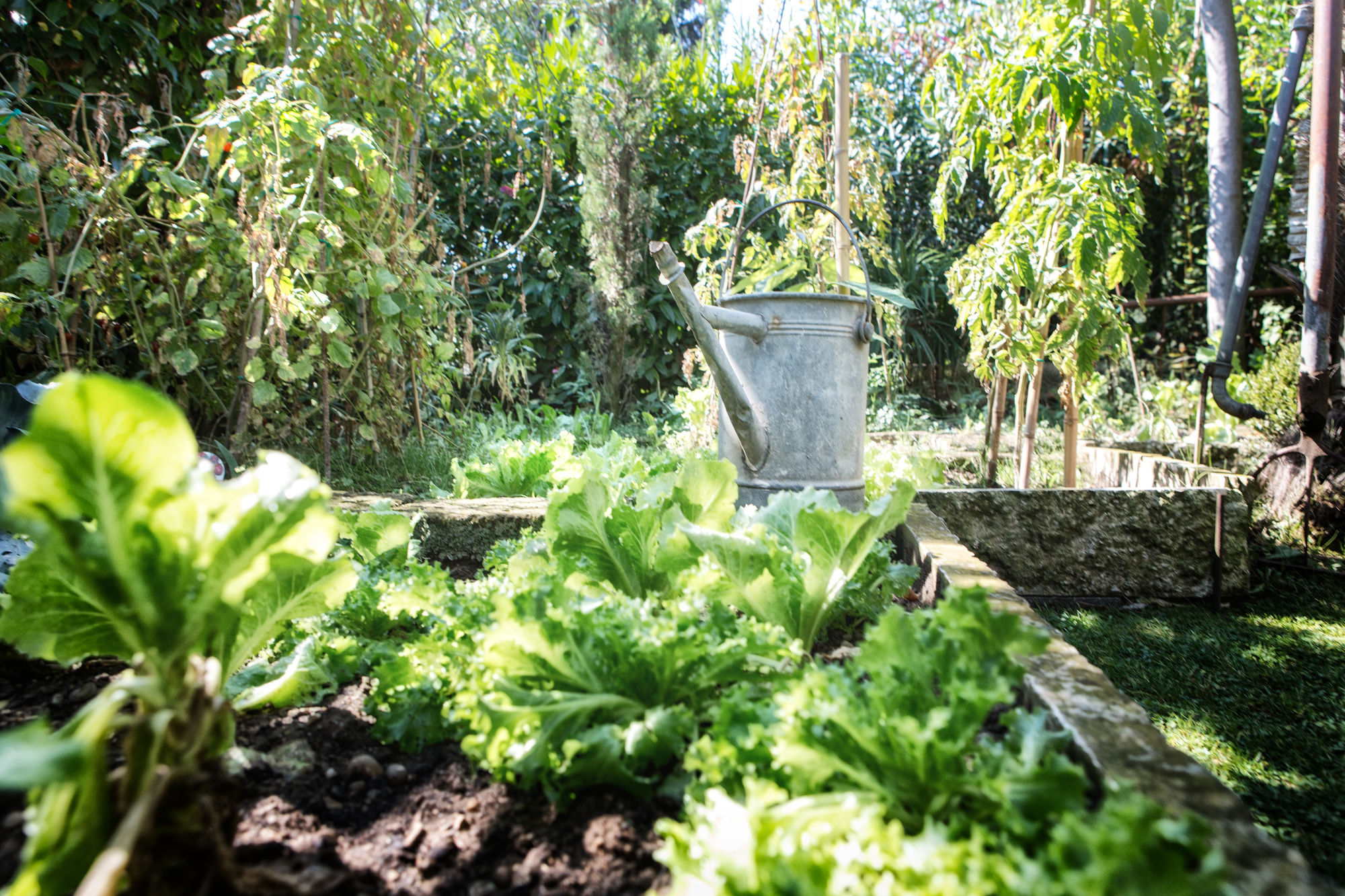 Фото Hotel Piccola Vela