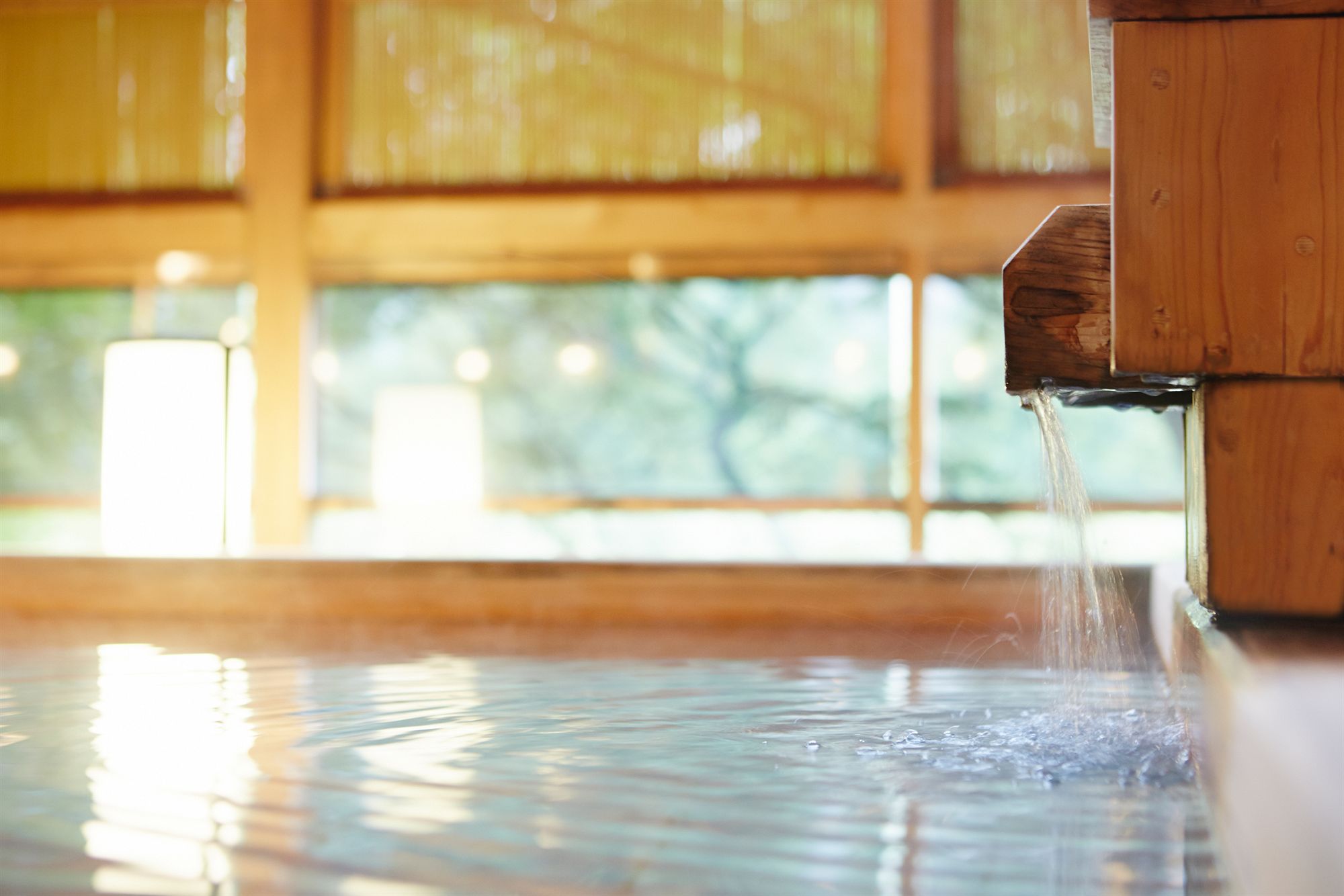 Фото Kinugawa Onsen Hotel