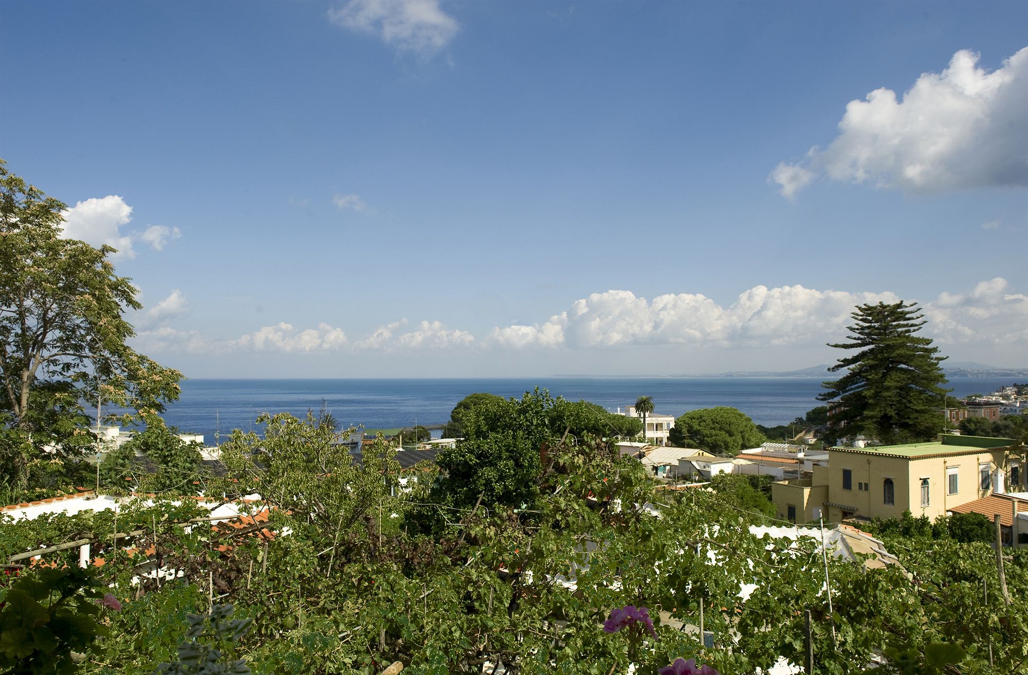 Фото Hotel Matarese