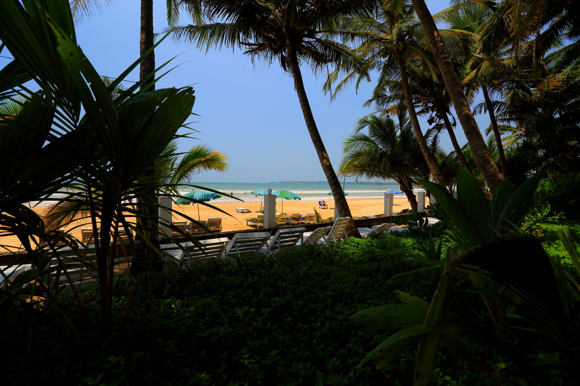 Фото Jaga Bay Resort