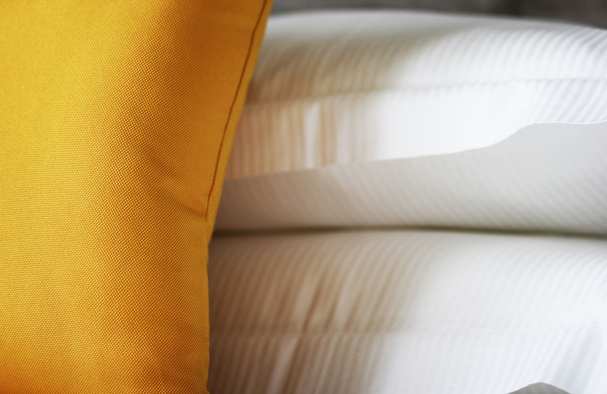 Фото Sole Verona