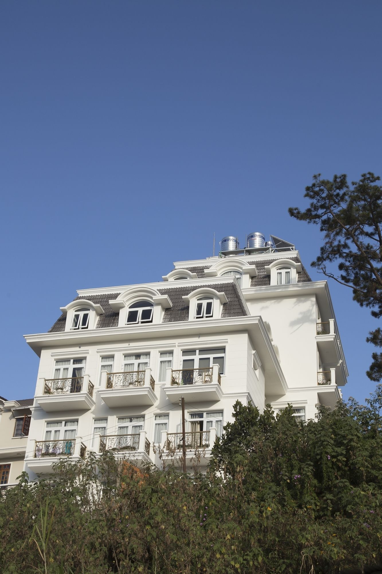 Фото Cozy Boutique Da Lat Hotel