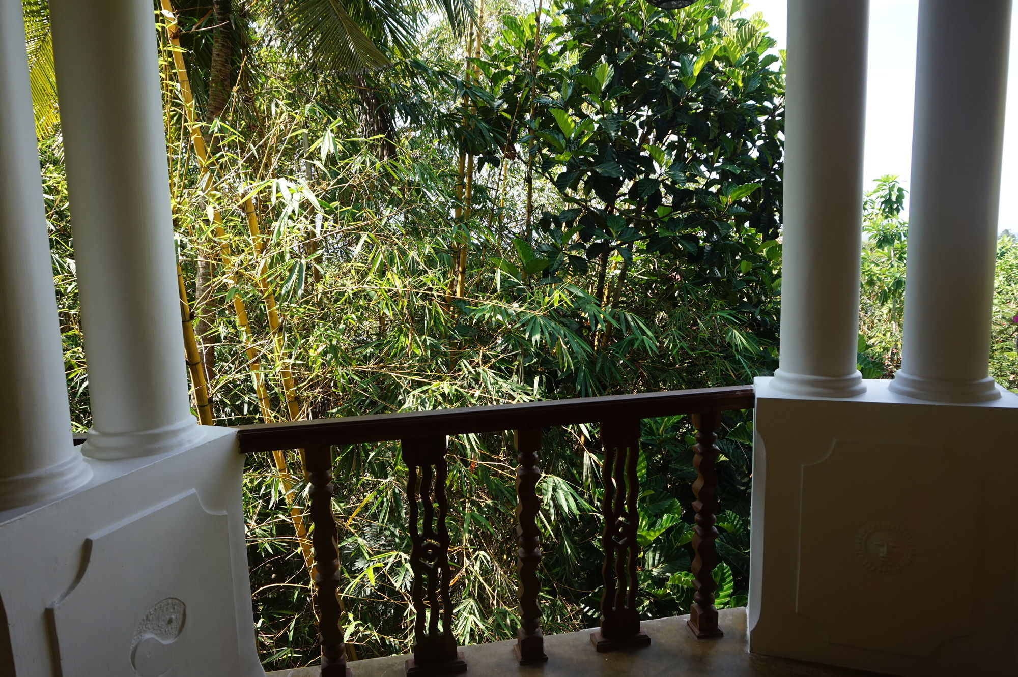 Фото Thambapanni Retreat