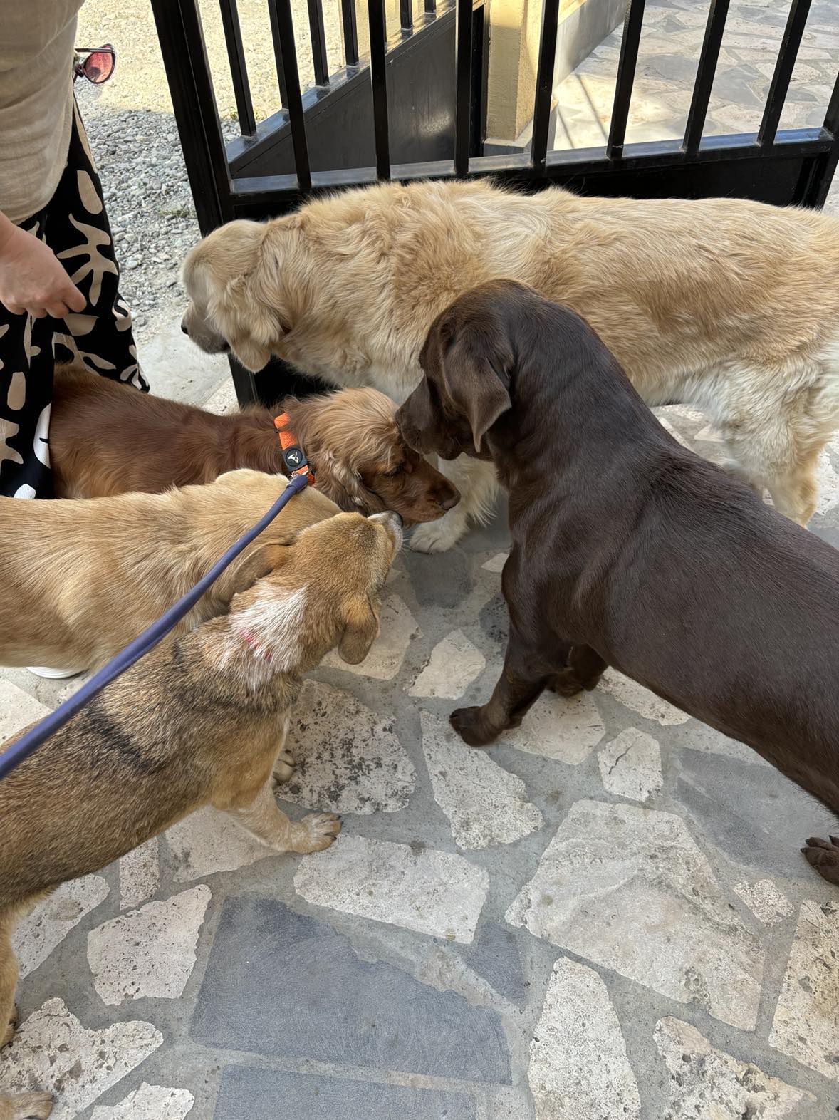 Фото RestArt Boutique Hotel