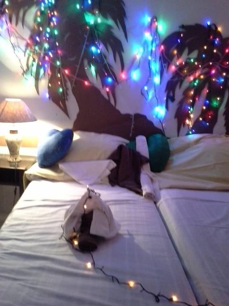 Фото Bachelor Inn Hotel