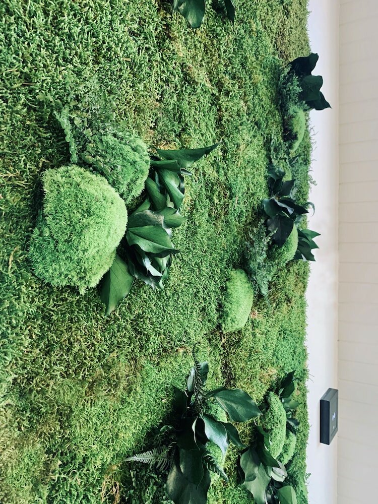 Фото Hotel Franchi