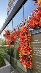 Four Seasons (ulitsa Nikolaya Masharova, 2), clothing store