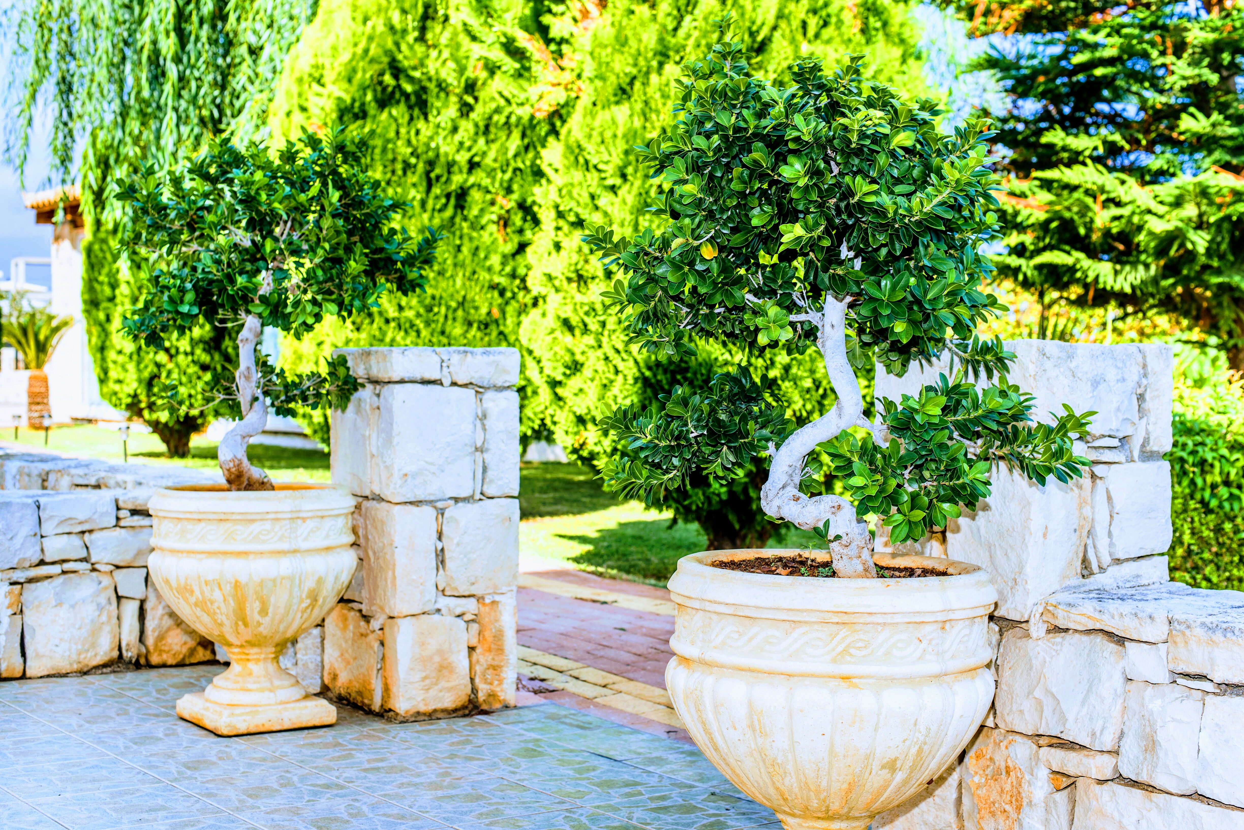 Фото Yiannis Manos