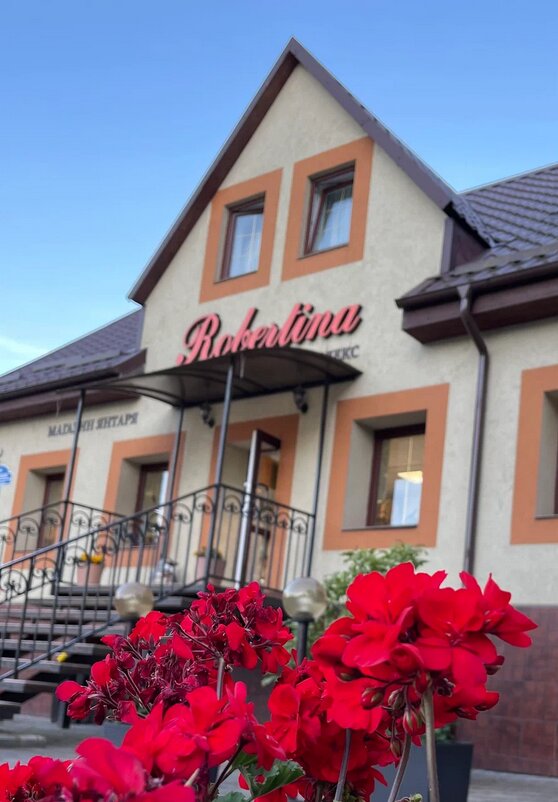 Фото Робертина