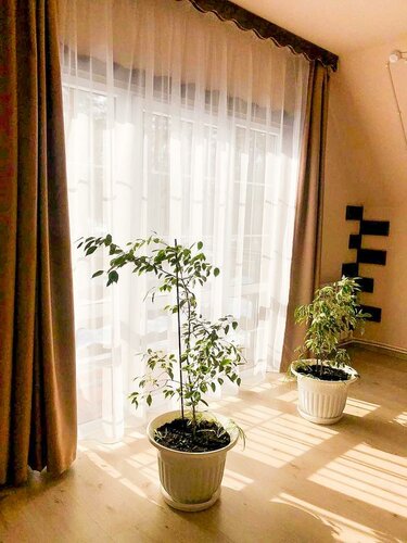 Гостиница Берёзка в Тамбовской области