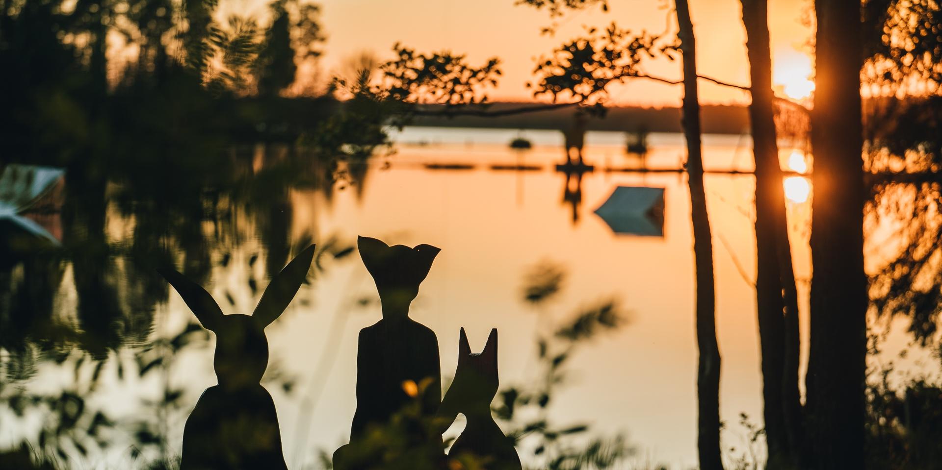 Фото Террасы