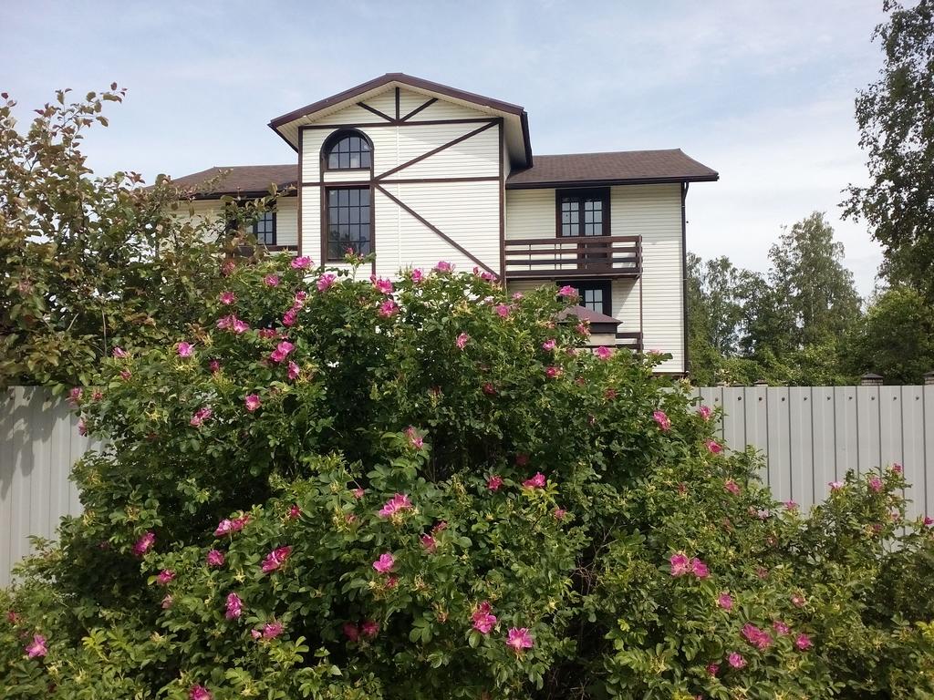 Фото Старая Стрельна