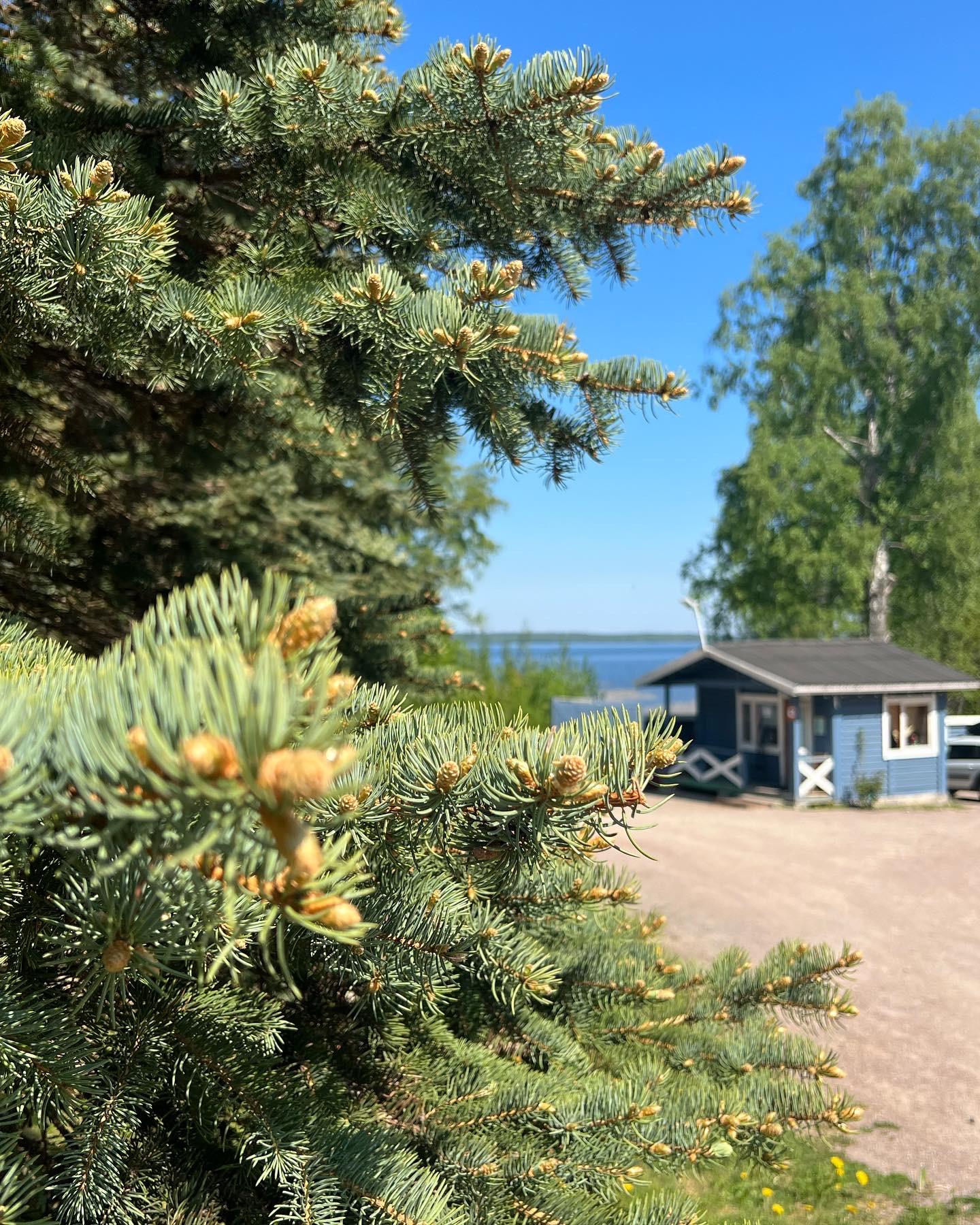 Фото Аквамарин