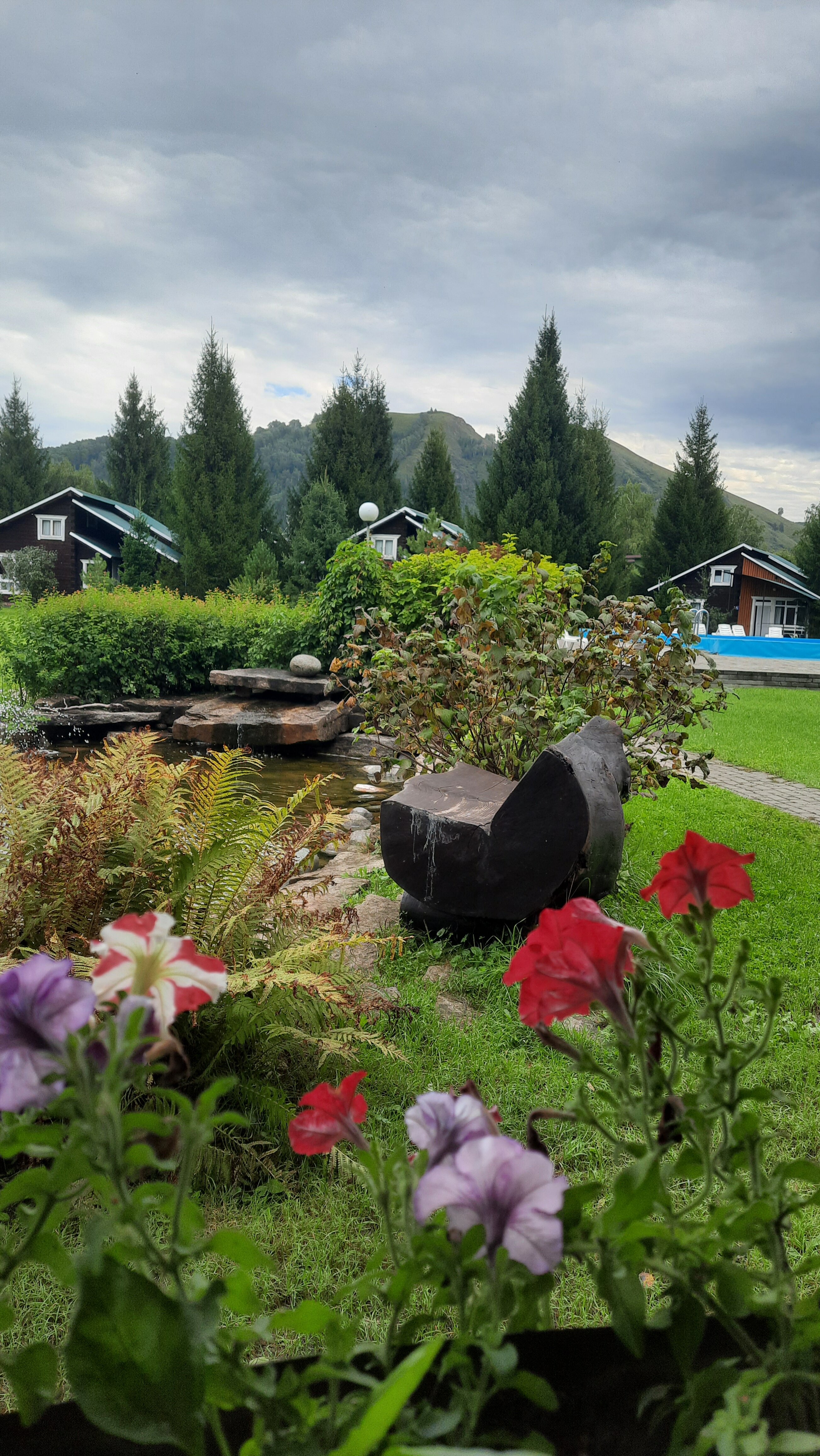 Фото Алтай rest