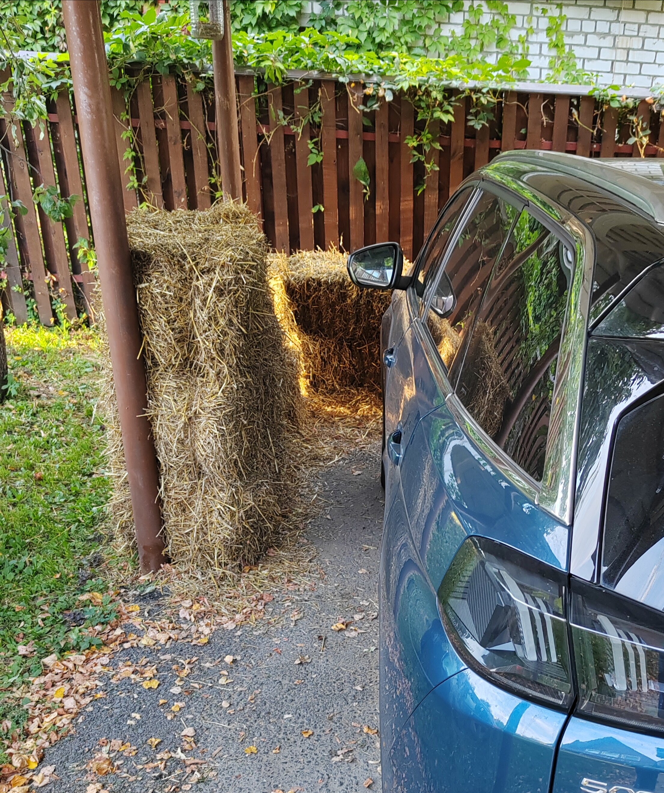 Фото Усадьба Сурикова