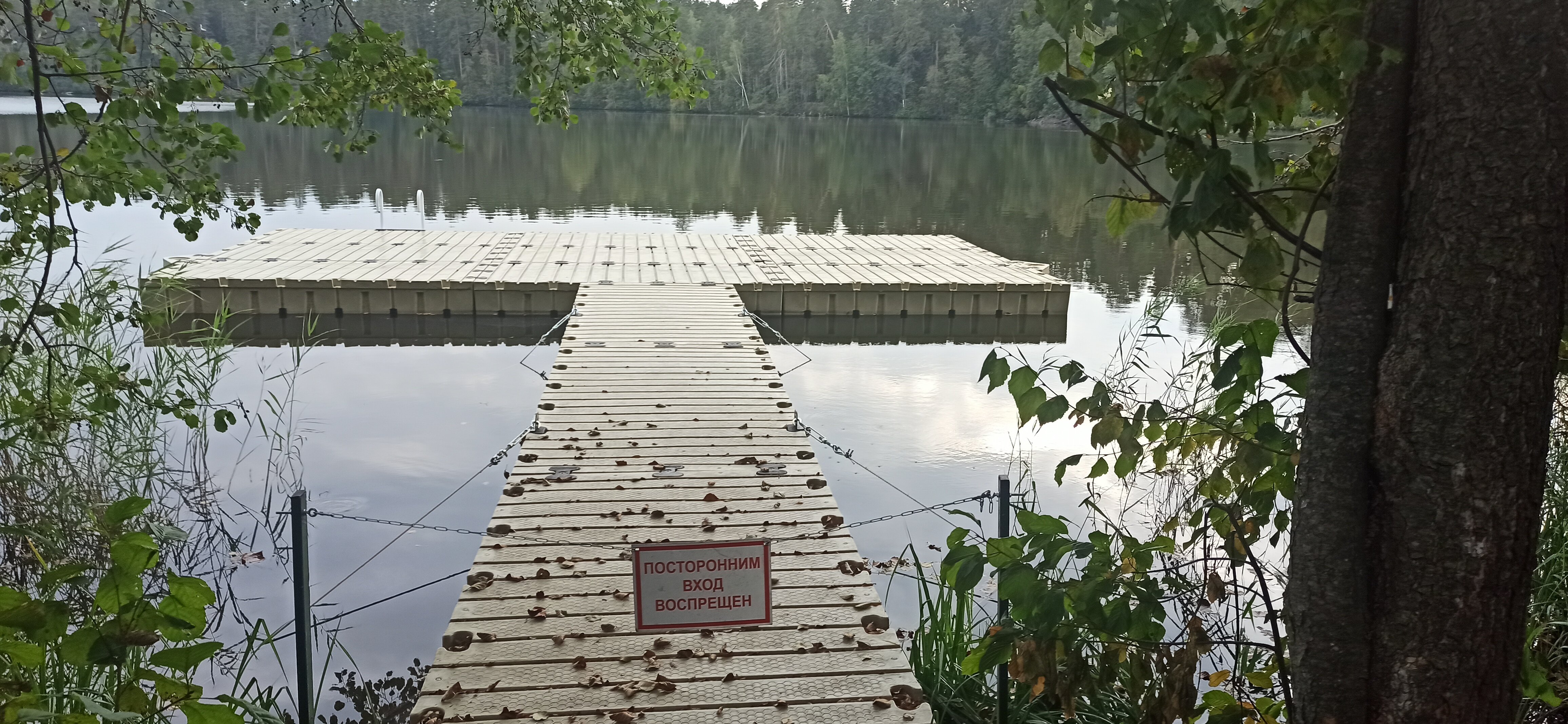 Фото Кичиер