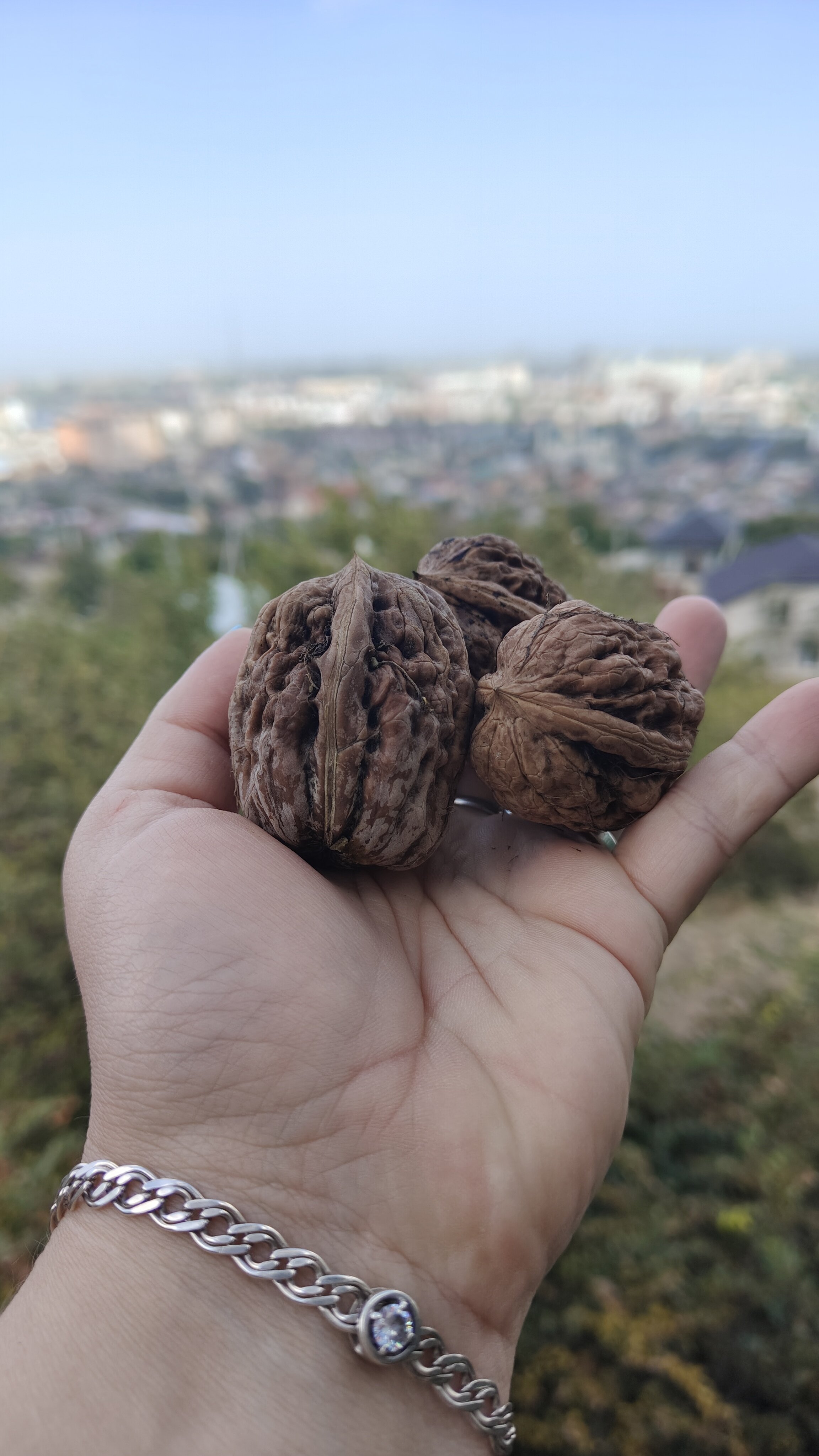 Фото В Тарках