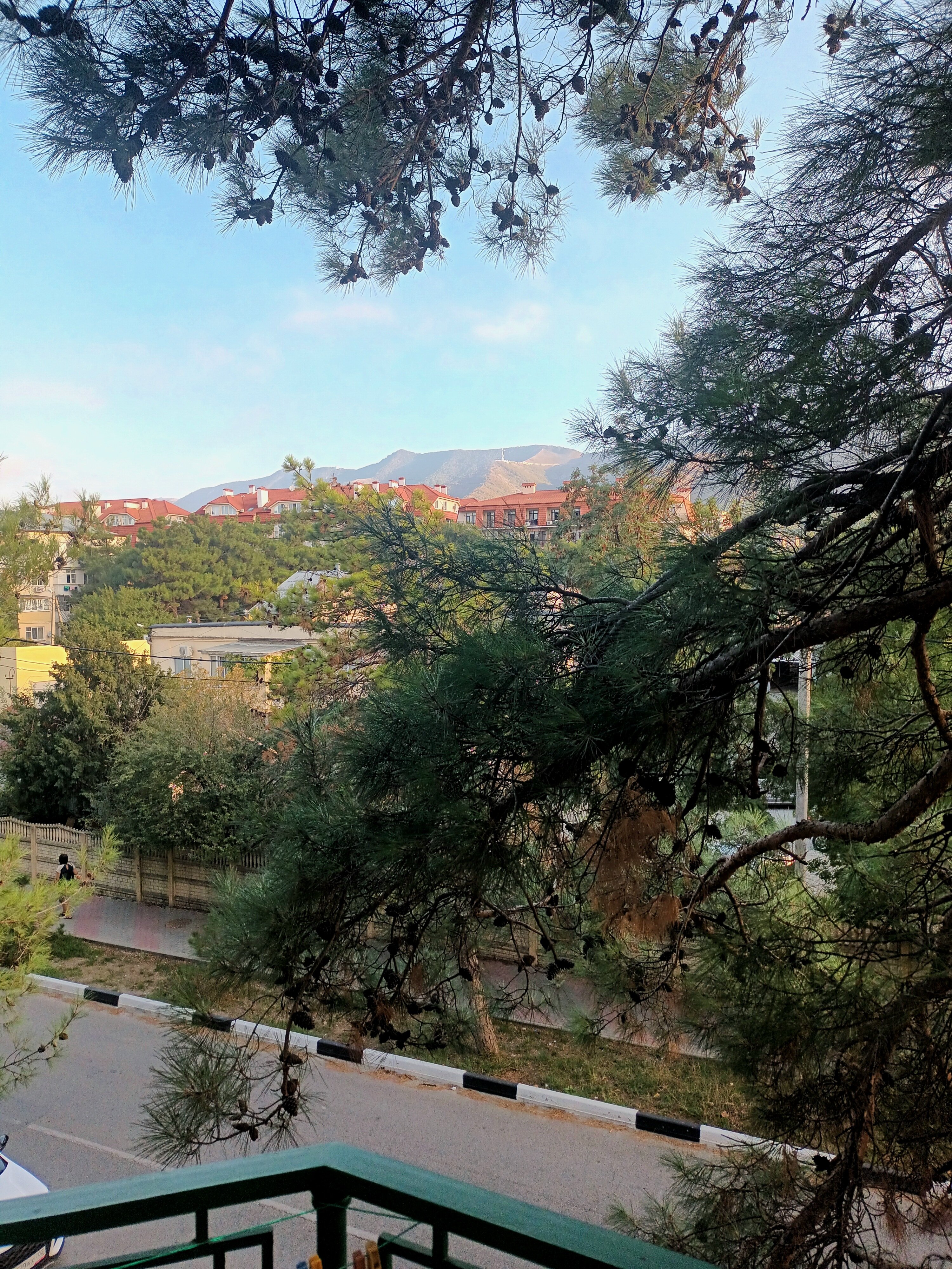 Фото Сосновая дача