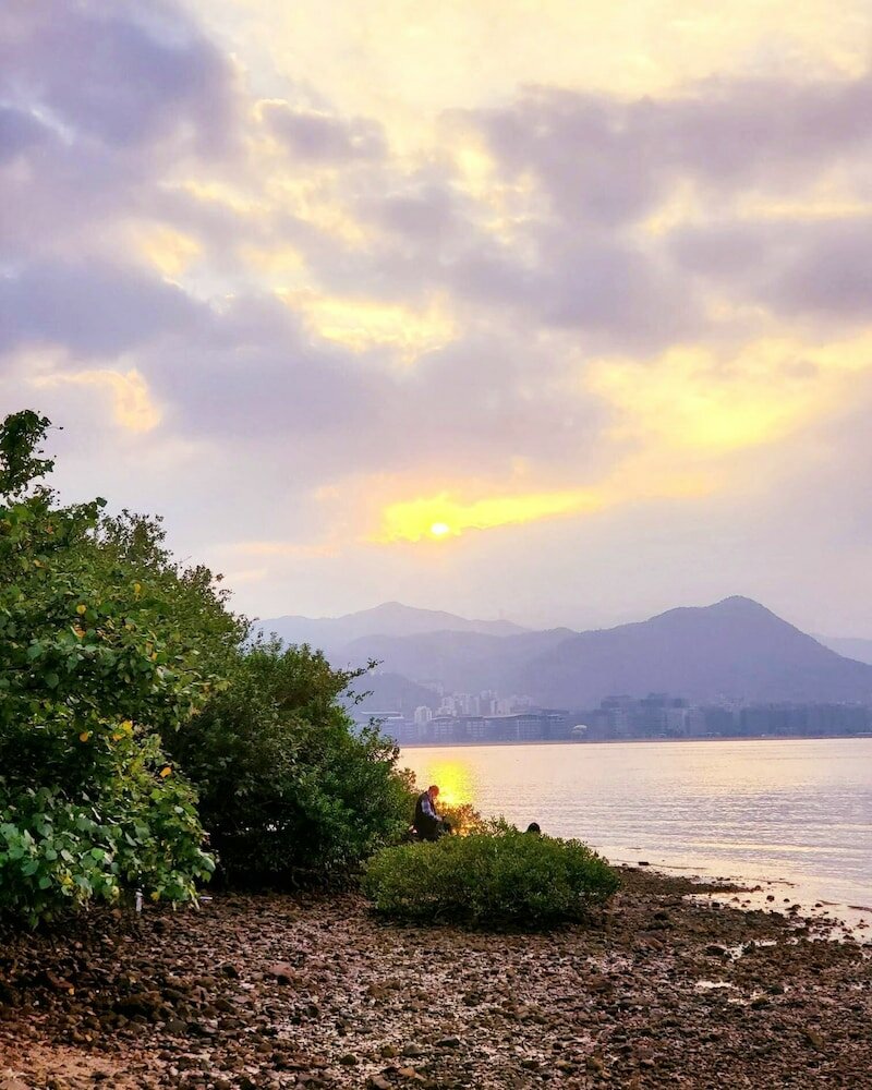 Фото Courtyard Hong Kong Sha Tin