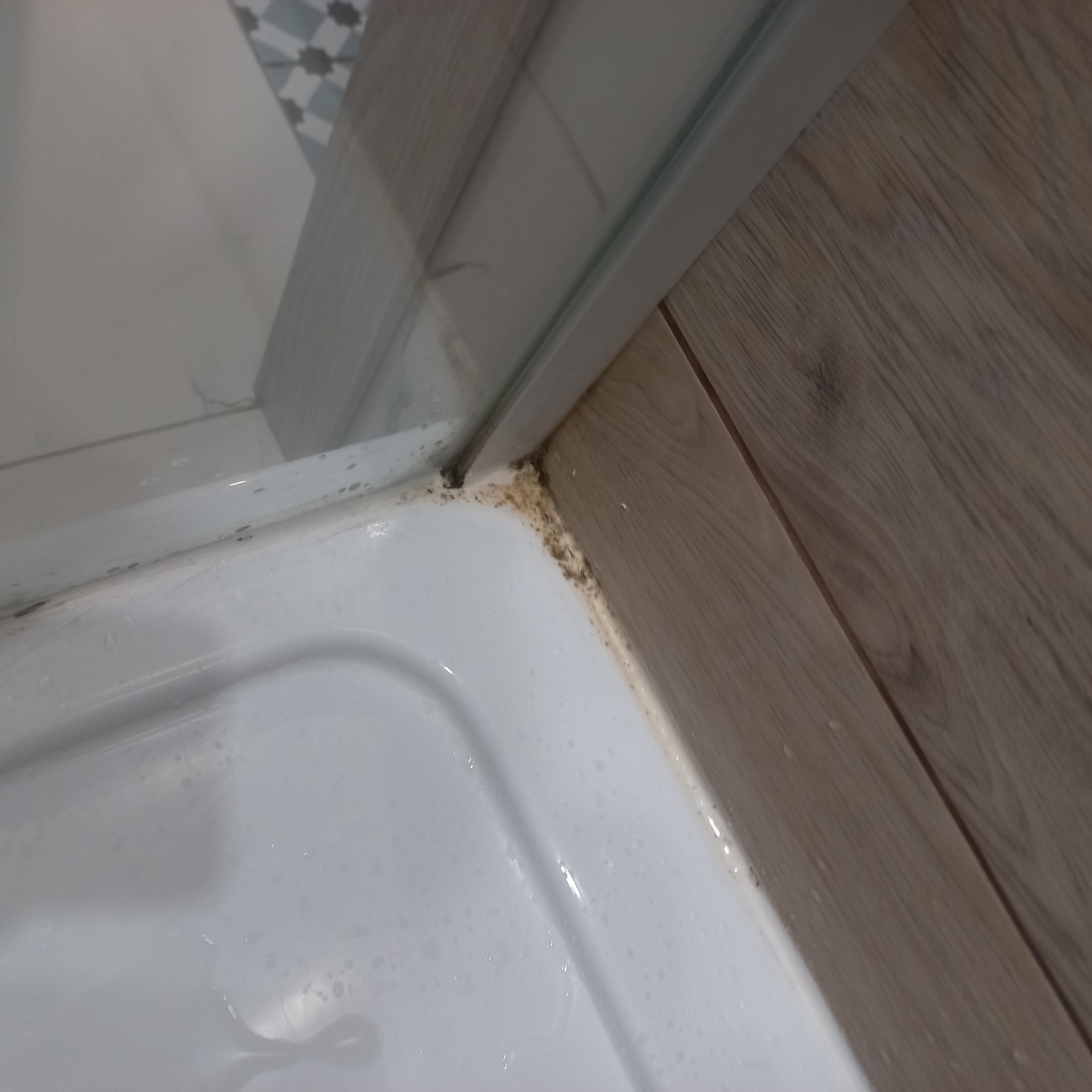 Фото Степаненков на Горького