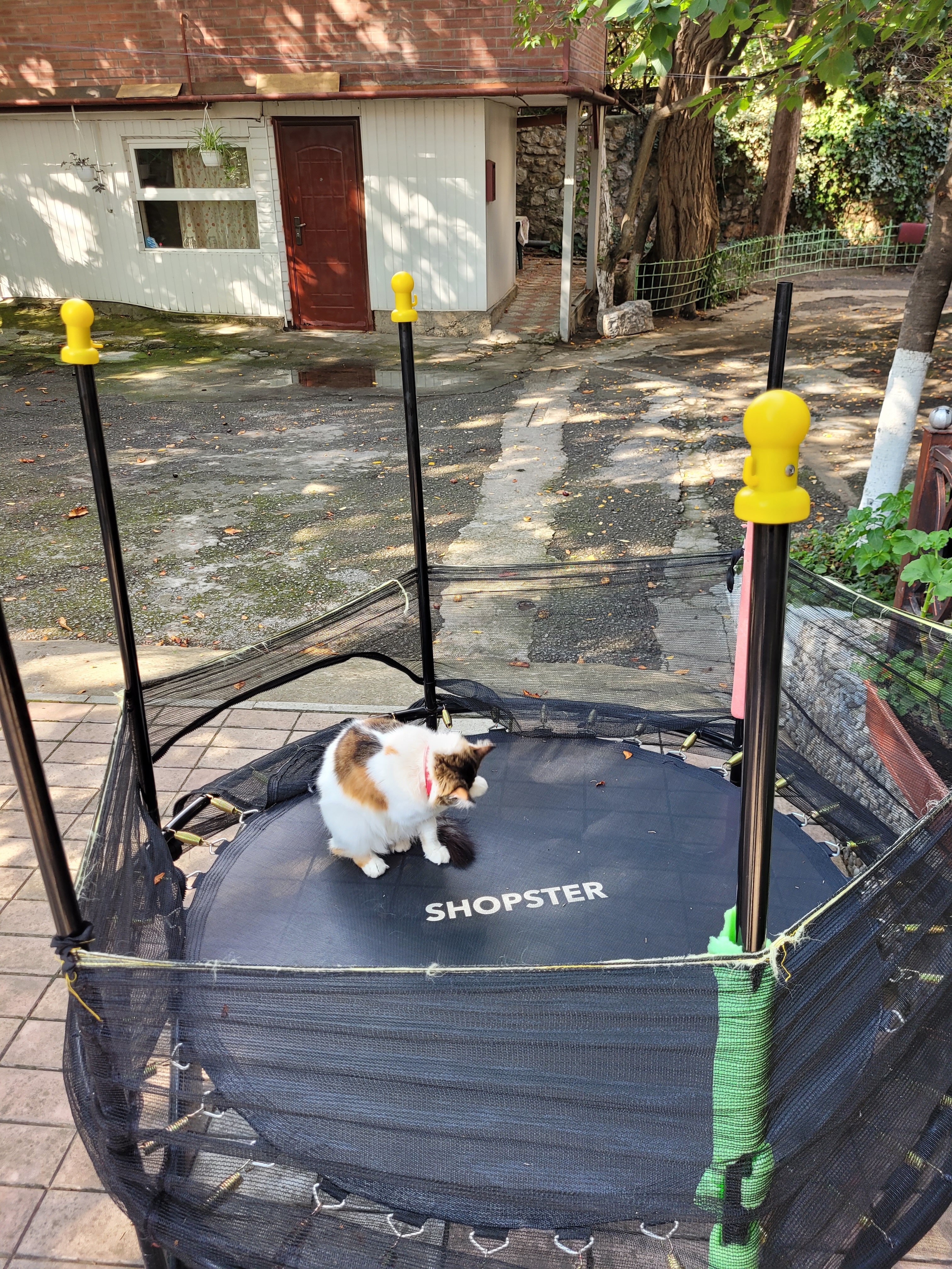 Фото Дворик на Морской