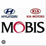 Mobis. zap (Frezer Highway, 17Ас3) ، متجر قطع غيار ولوازم السيارات